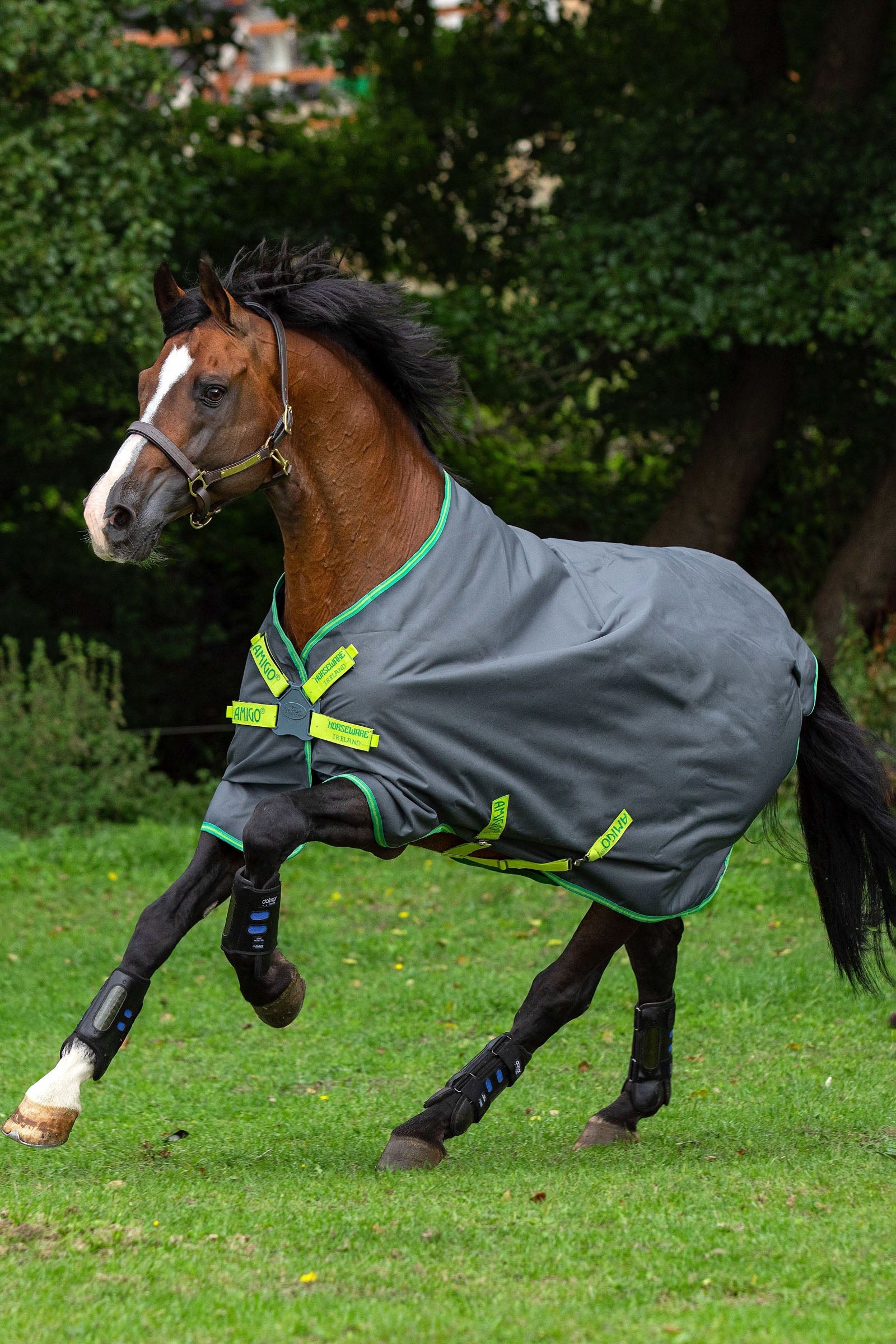 Horseware Amigo Hero 900 Lite Disc Turnout Rug, 0g Paardendekens