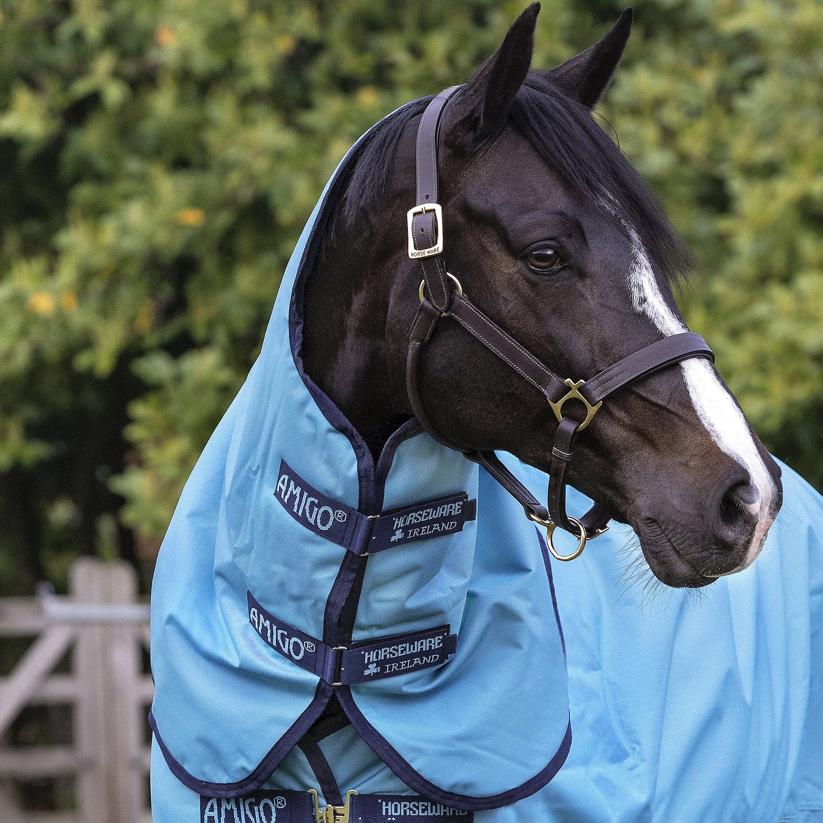 Horseware Amigo Hero Ripstop Hood 0g Horse Rugs