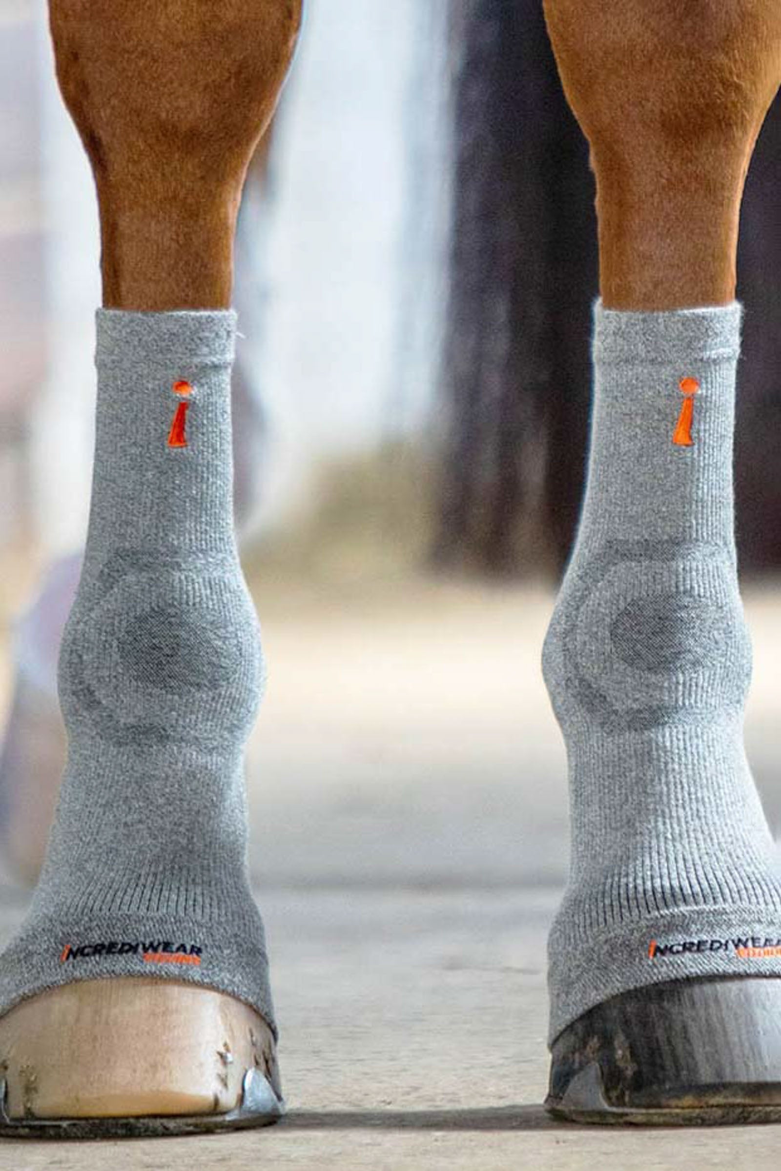 Incrediwear Equine Hoof Socks Leg Protection & Hoof Protection for Horses