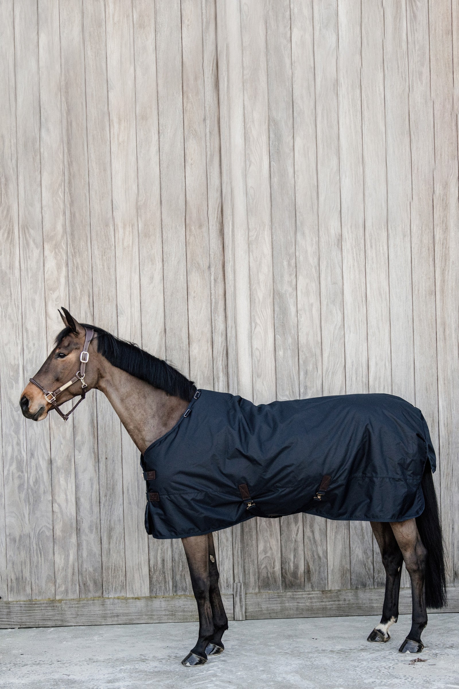 Kentucky Horsewear Turnout Rug All Weather Waterproof Classic, 50g Paardendekens