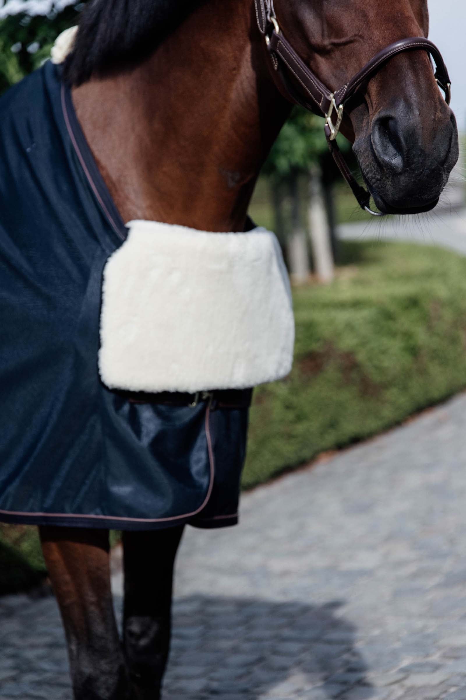 Kentucky Horsewear Horse BIB Sheepskin Chest Protector Horse Rugs