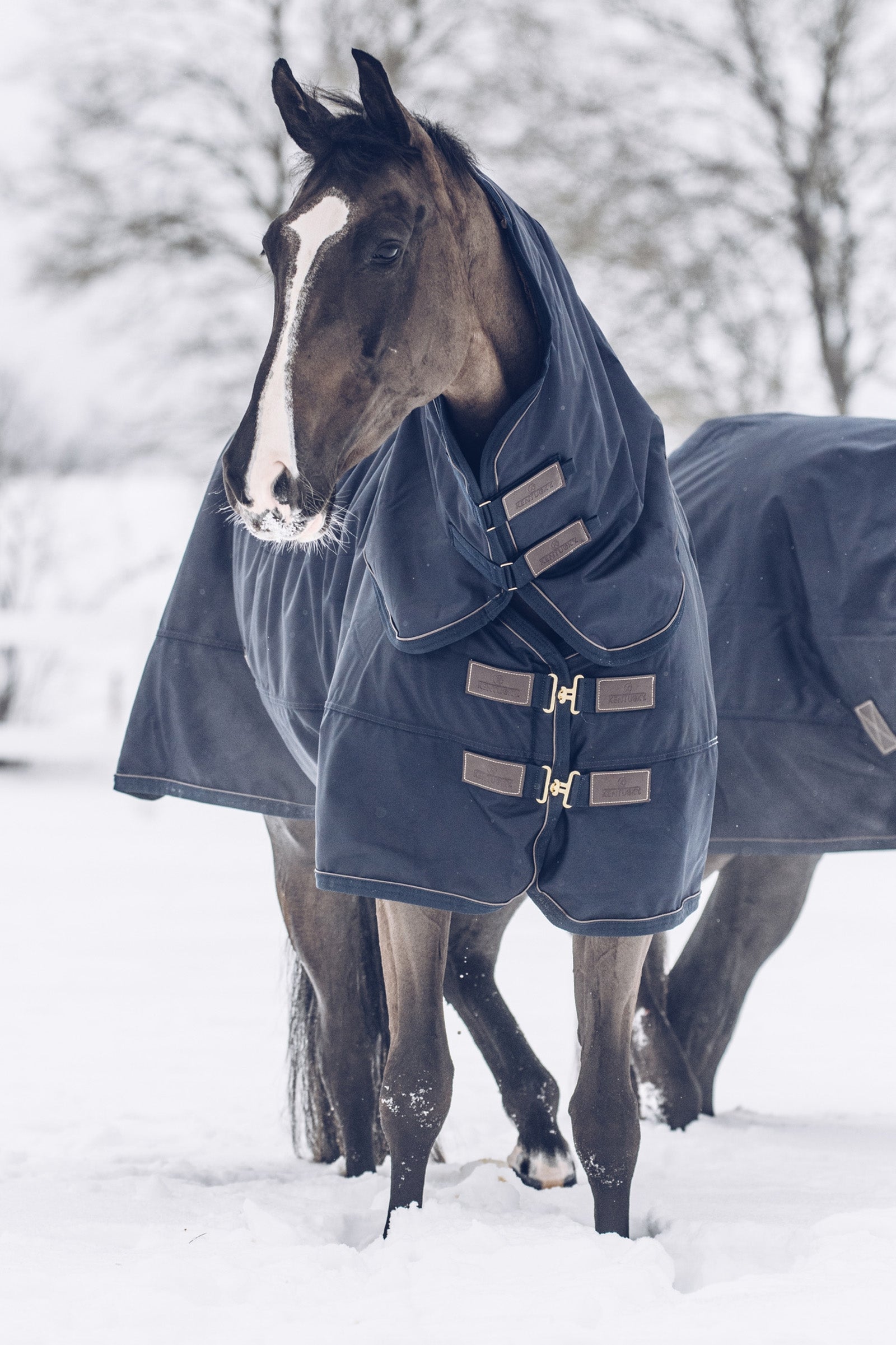 Kentucky Horsewear Turnout Rug All Weather Waterproof Classic, 300g Paardendekens