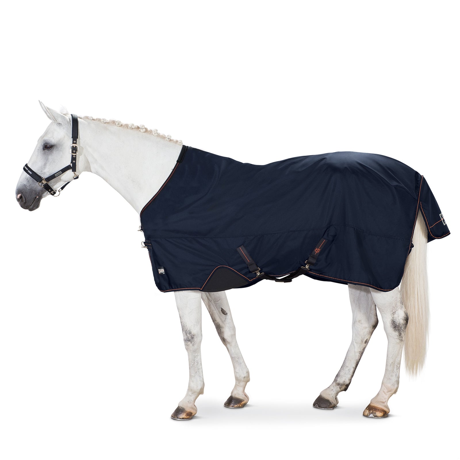 Eskadron Alpha Regendeken, 50 gram Paardendekens