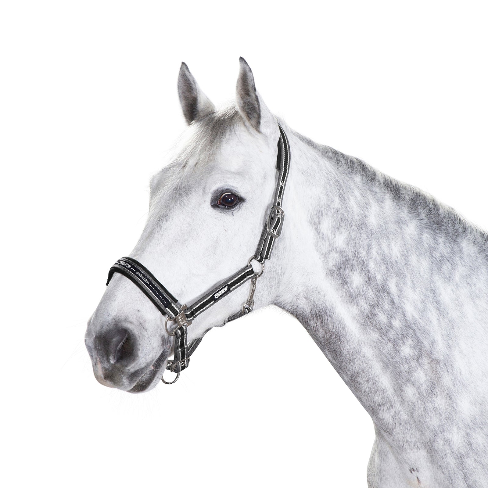 Eskadron Halster Pin Gesp Halsters & Halstertouwen