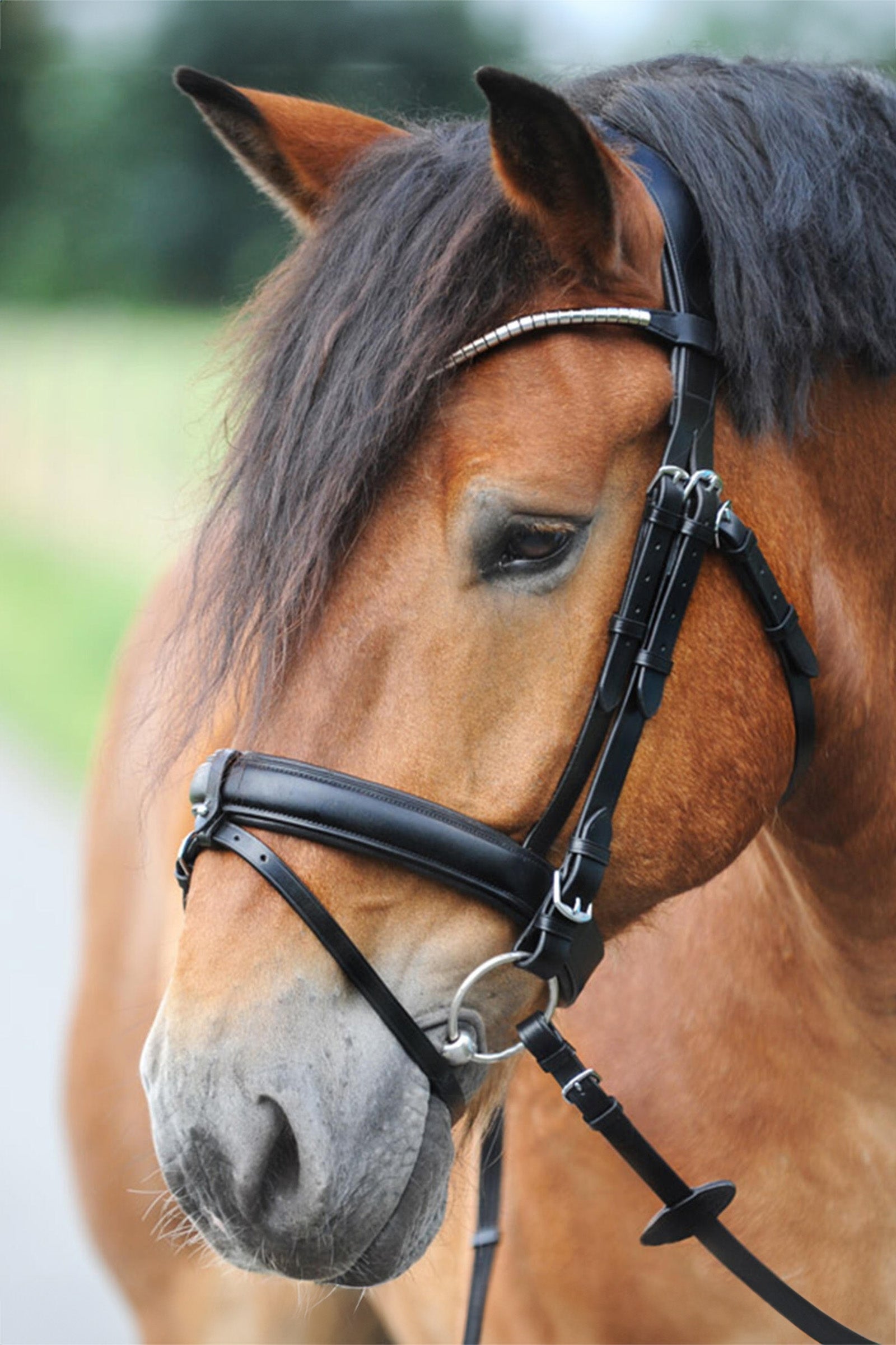 Kavalkade Clinchesse Bridle Hoofdstellen & Teugels