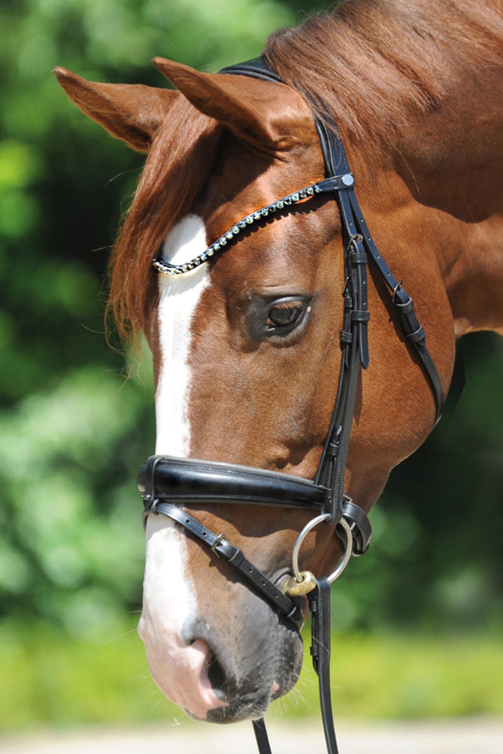 Kavalkade Grey Bridle Bridles & Reins