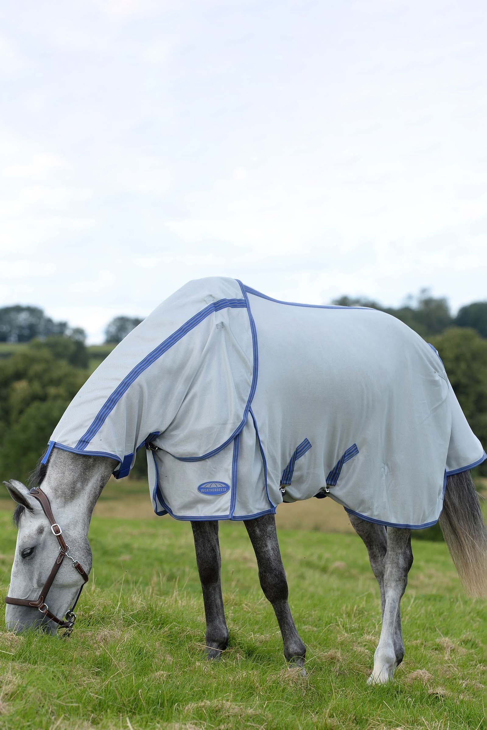 Weatherbeeta Comfitec Airflow II Fly Rug with Detachable Neck Horse Rugs