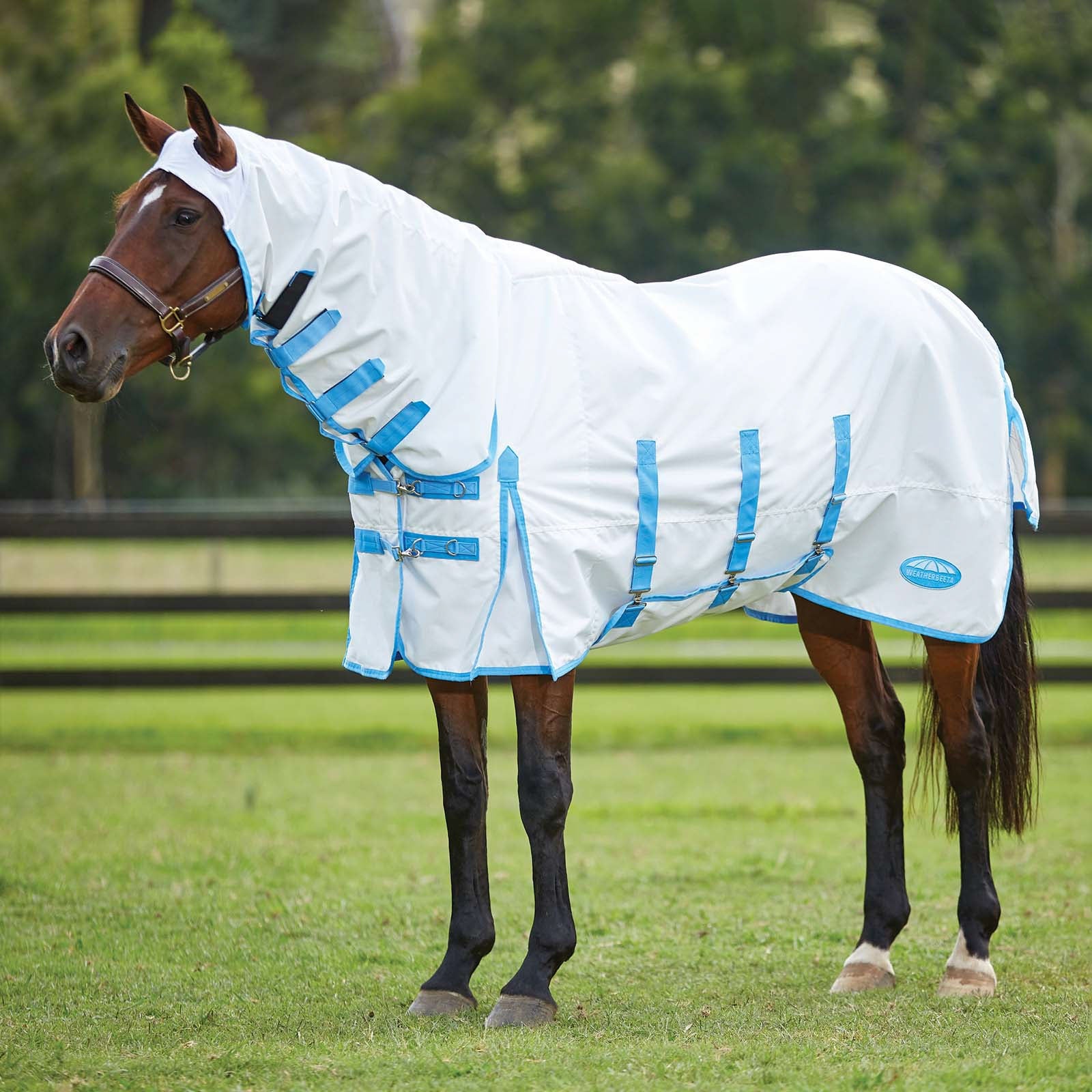 Weatherbeeta Comfitec Sweet Itch Shield Rug With Fixed Neck Horse Rugs