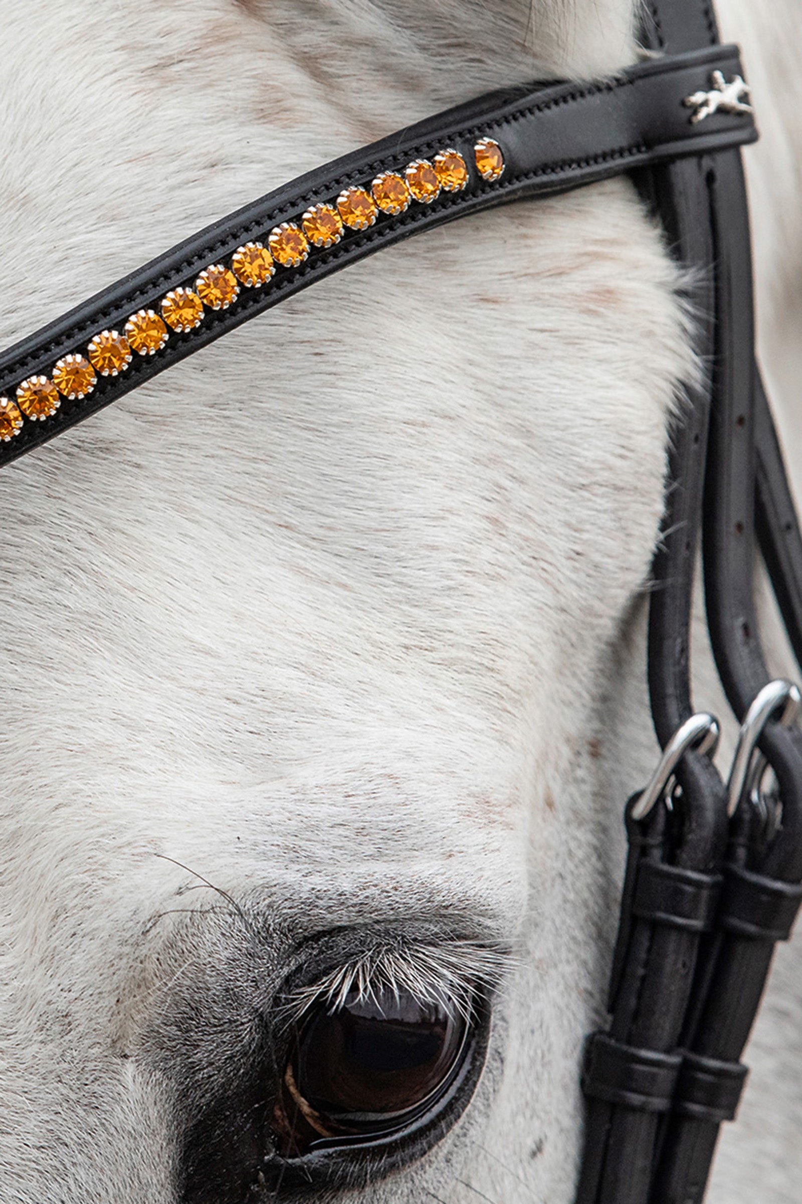 Schockemöhle Sports Diamond Select Browband Bridles & Reins