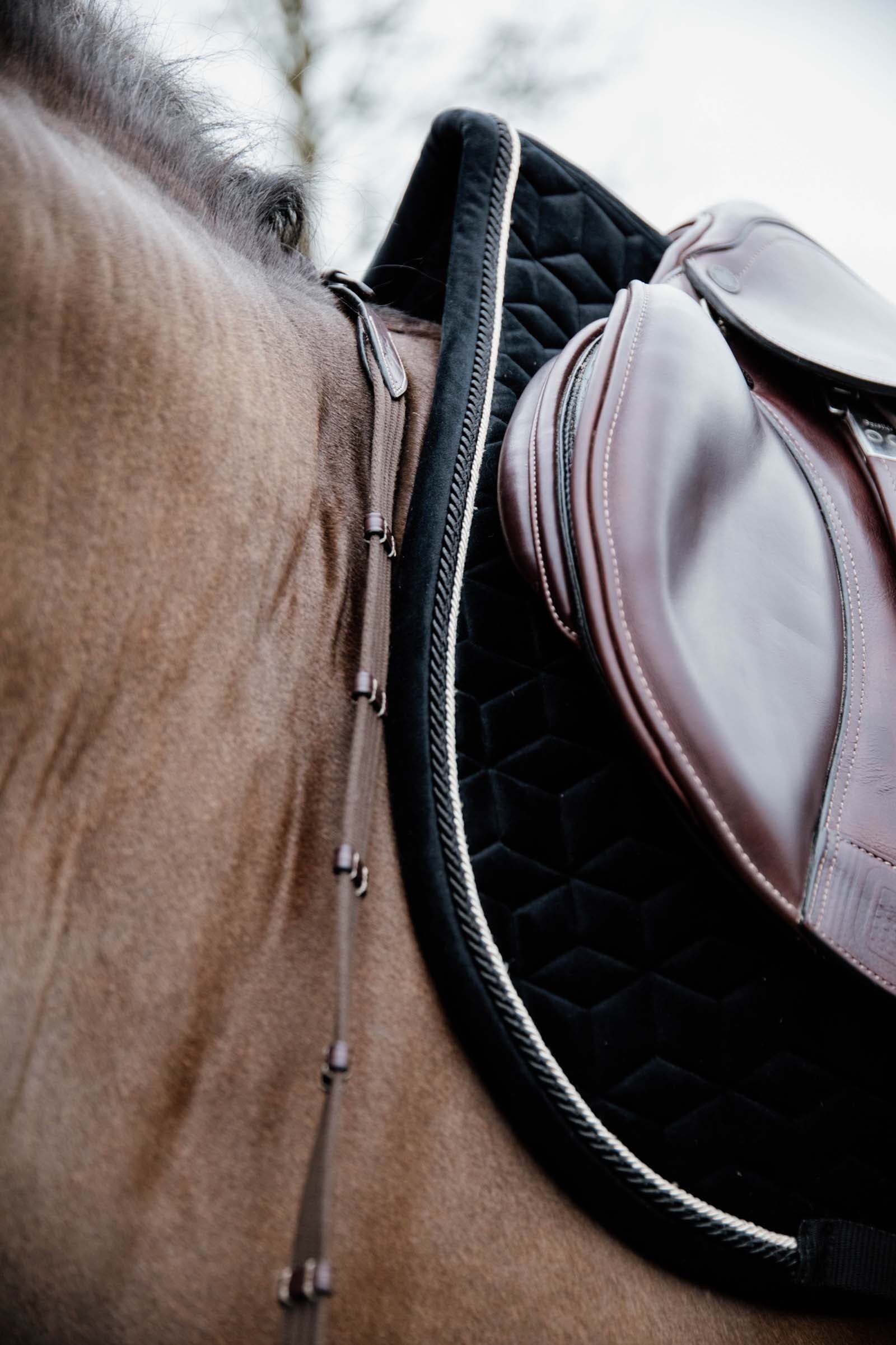 Kentucky Horsewear Velvet Basic Jumping Saddle Pad Saddle Pads