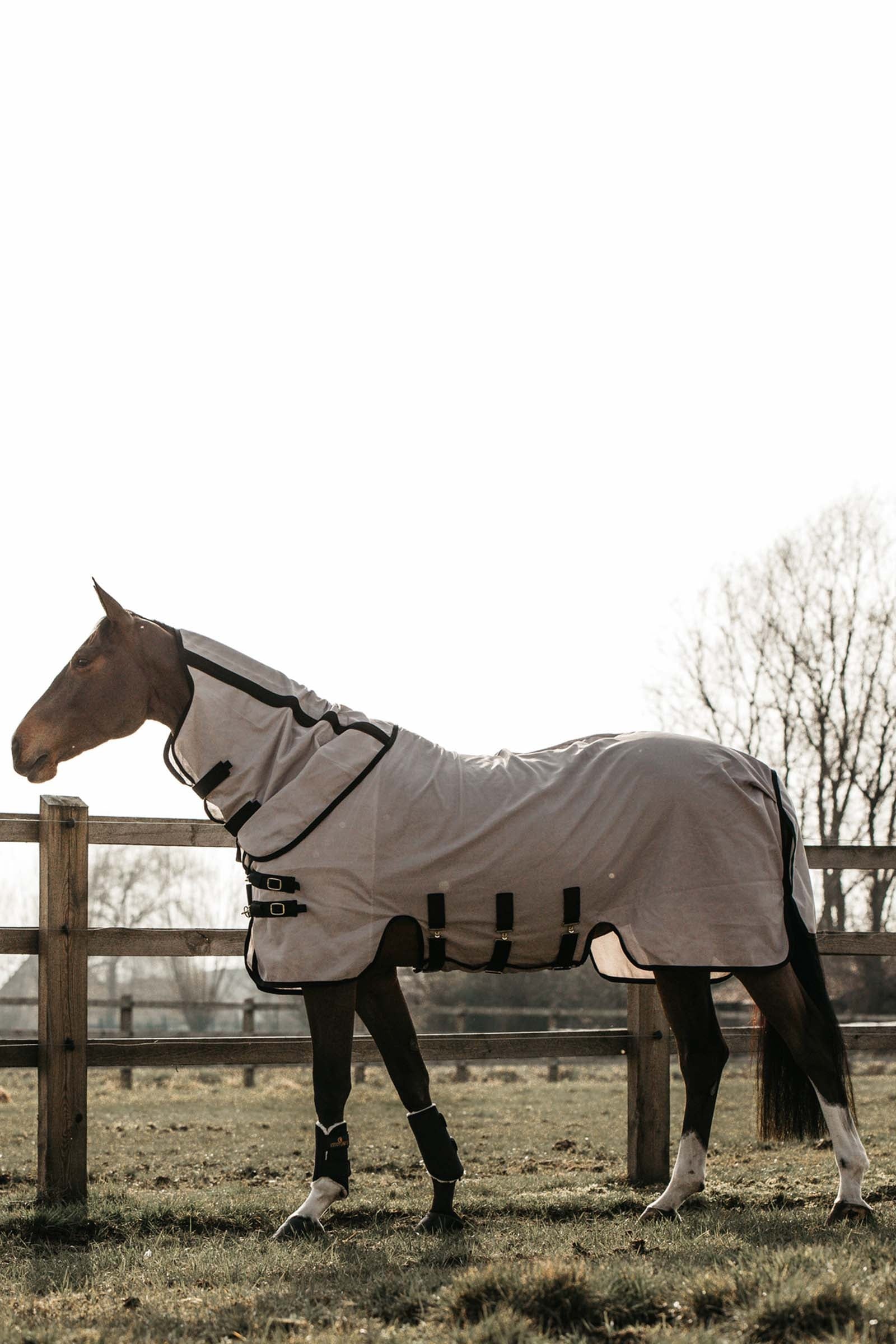 Kentucky Horsewear Mesh Fly Rug Horse Rugs