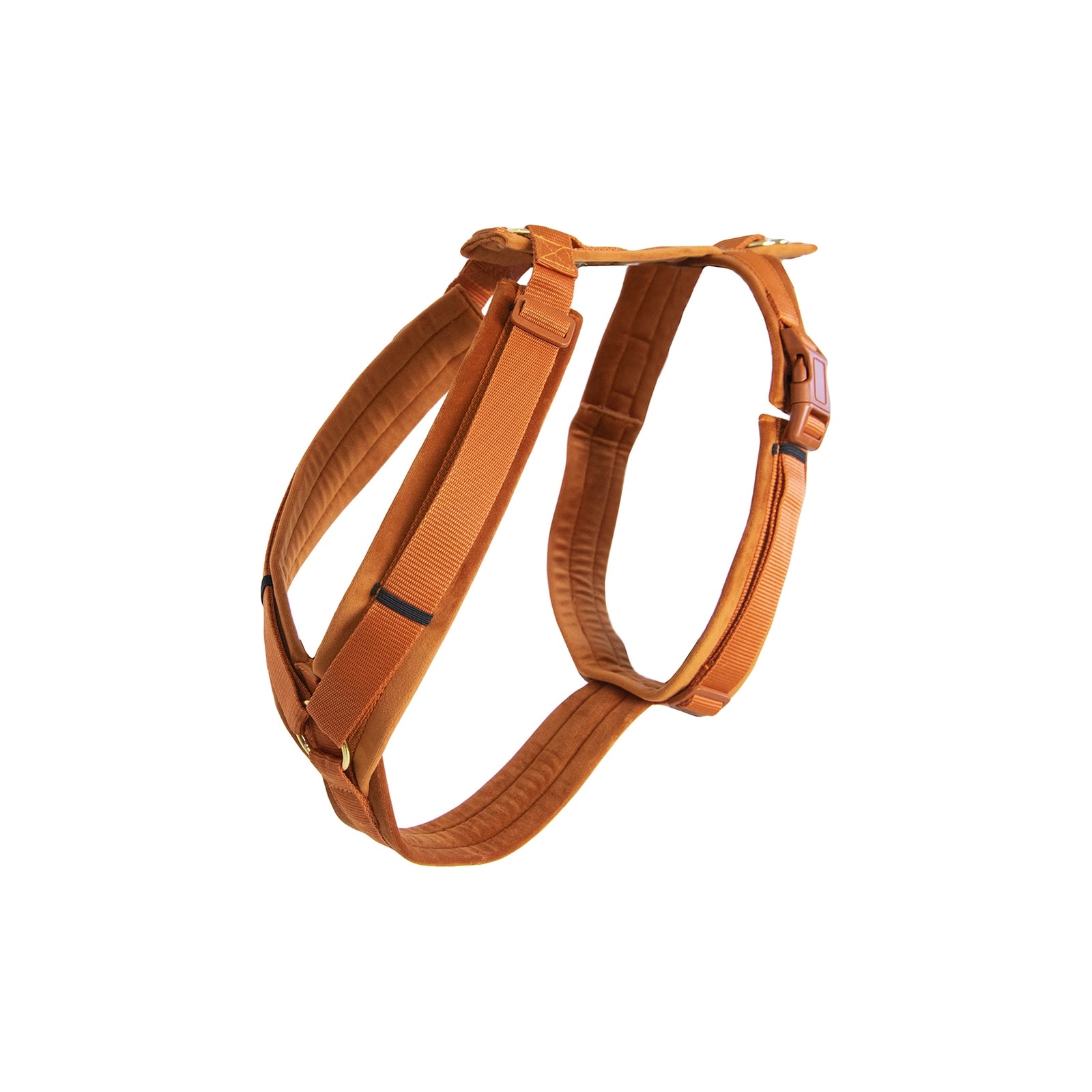 Kentucky Dogwear Hondenharnas Active Velvet Hond