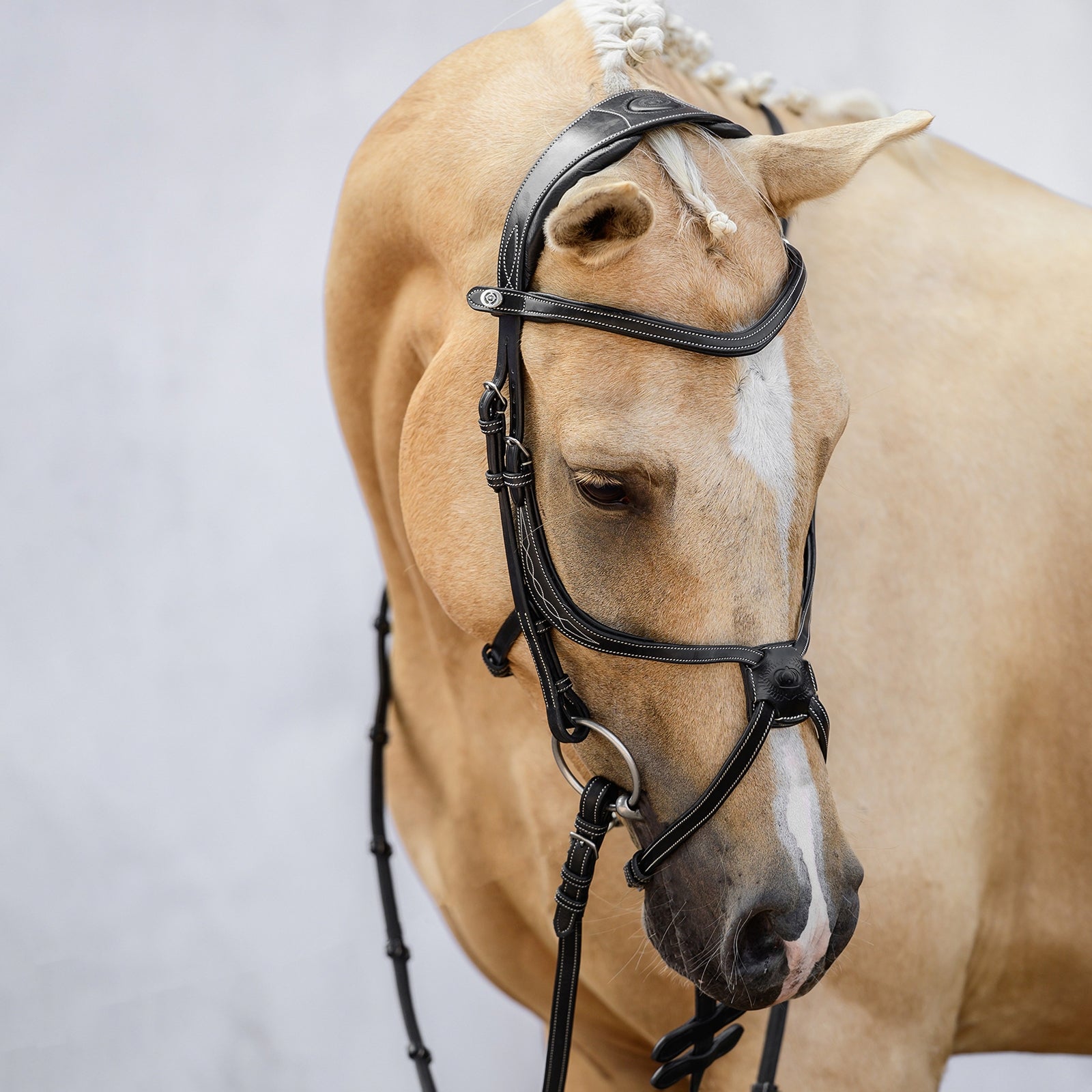 PS of Sweden Athens Mexicaans Hoofdstel Hoofdstellen & Teugels