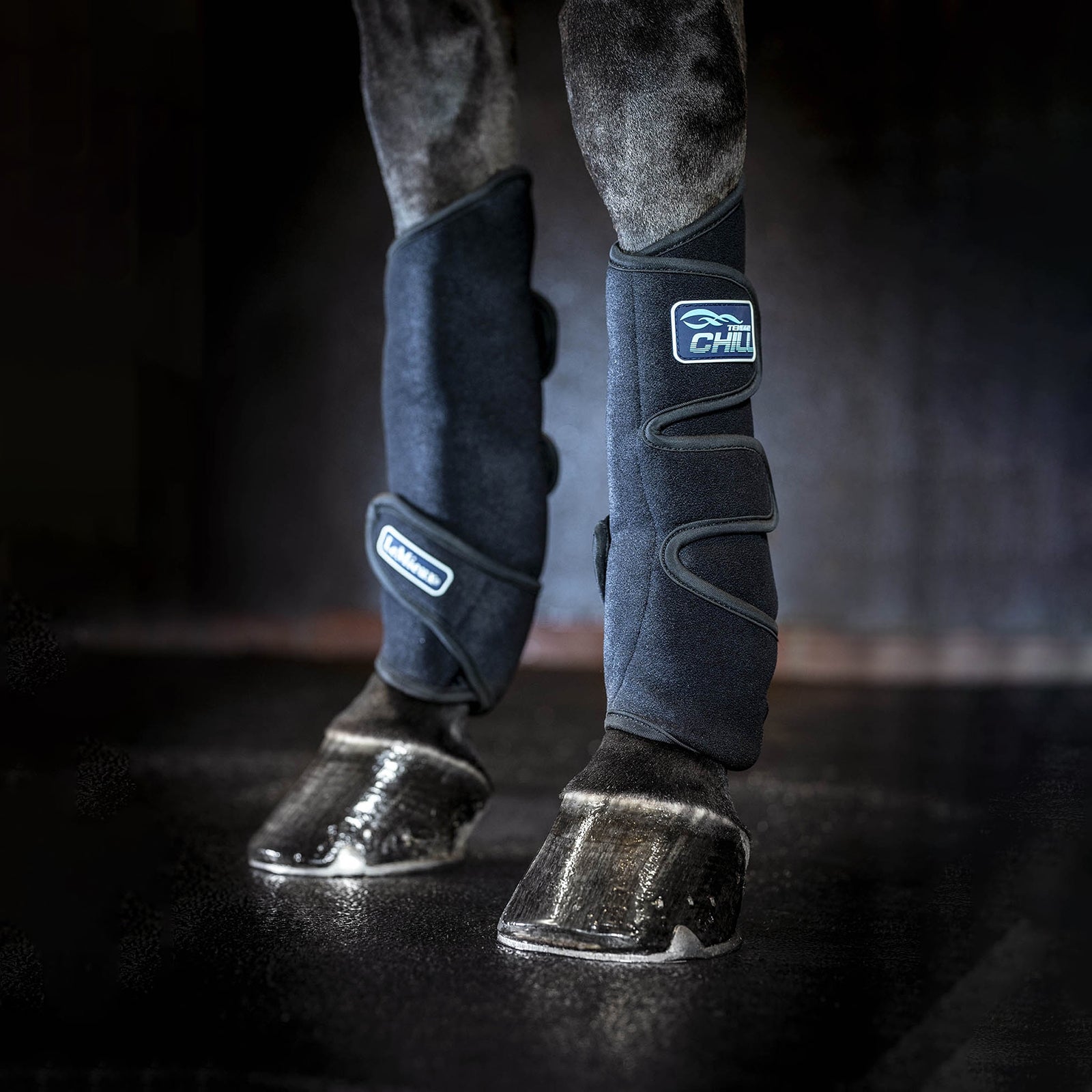 LeMieux Tendon Chill Bootss Leg Protection & Hoof Protection for Horses