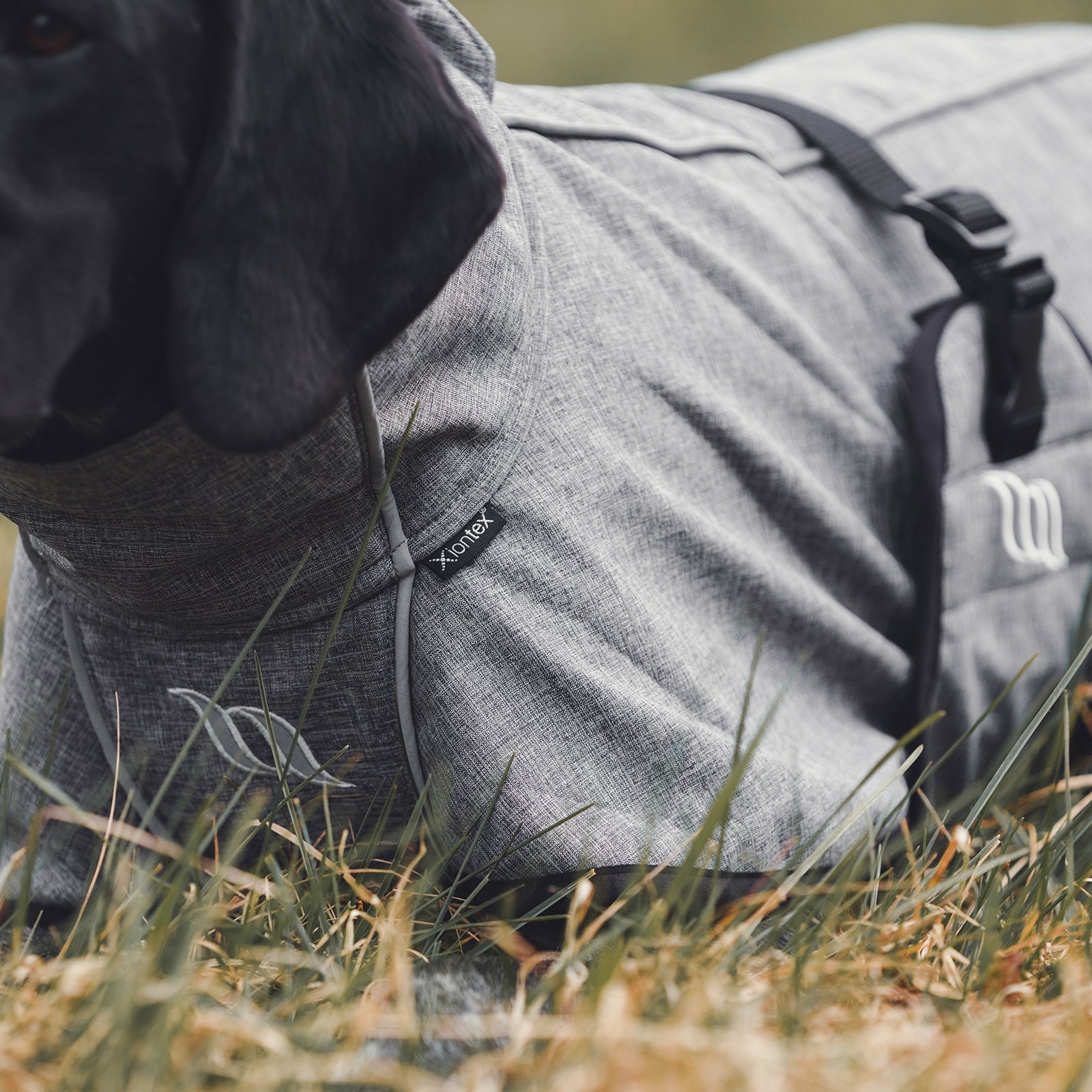 Back on Track Bark All-Round Dog Coat, 25-35cm Dog Accesories