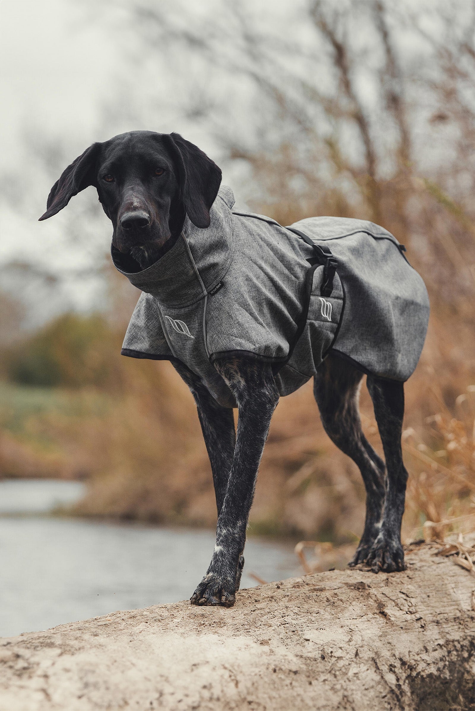 Back on Track Bark All-Round Dog Coat, 40-50cm Dog Accesories