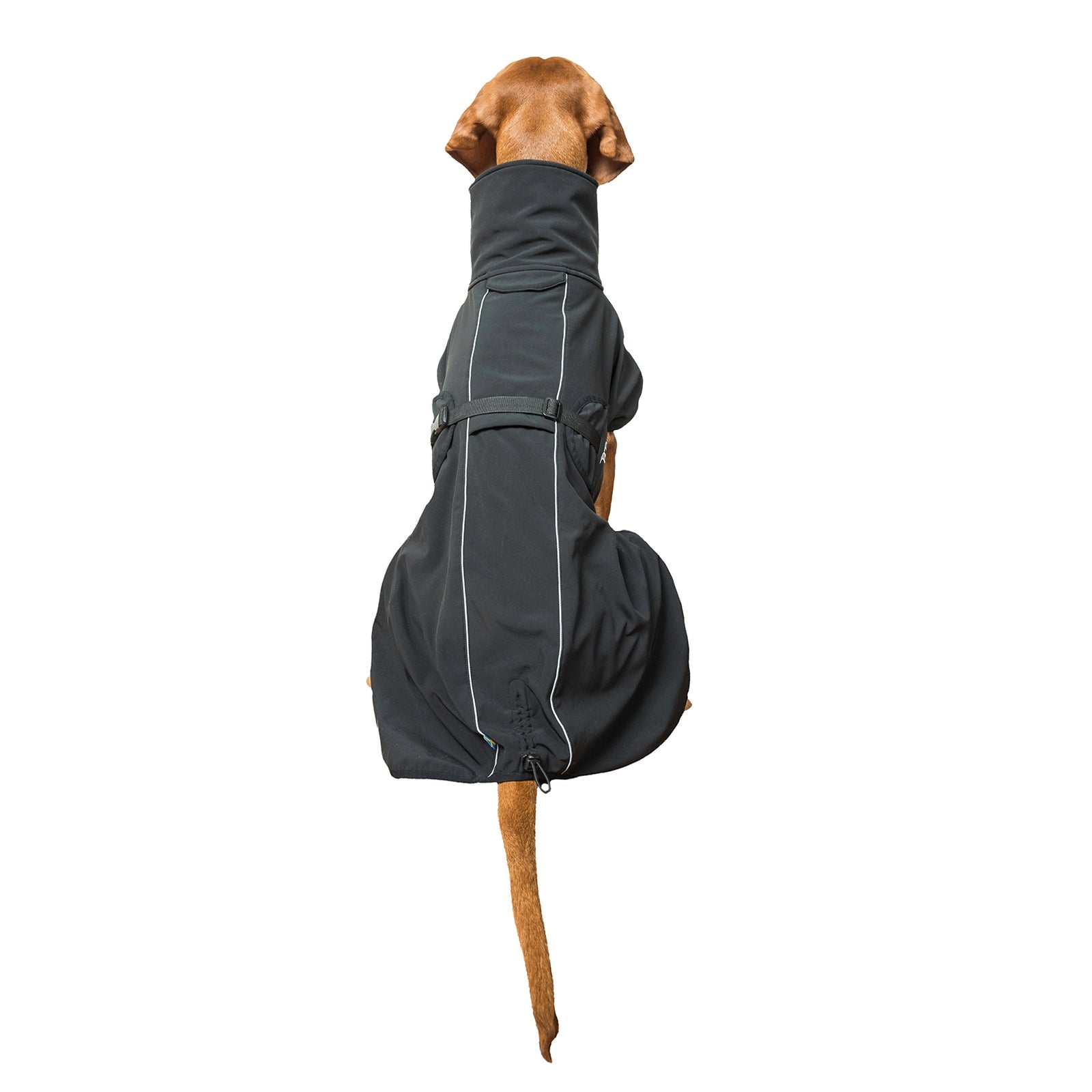 Back on Track Bark All-Round Dog Coat, 55-65cm Dog Accesories