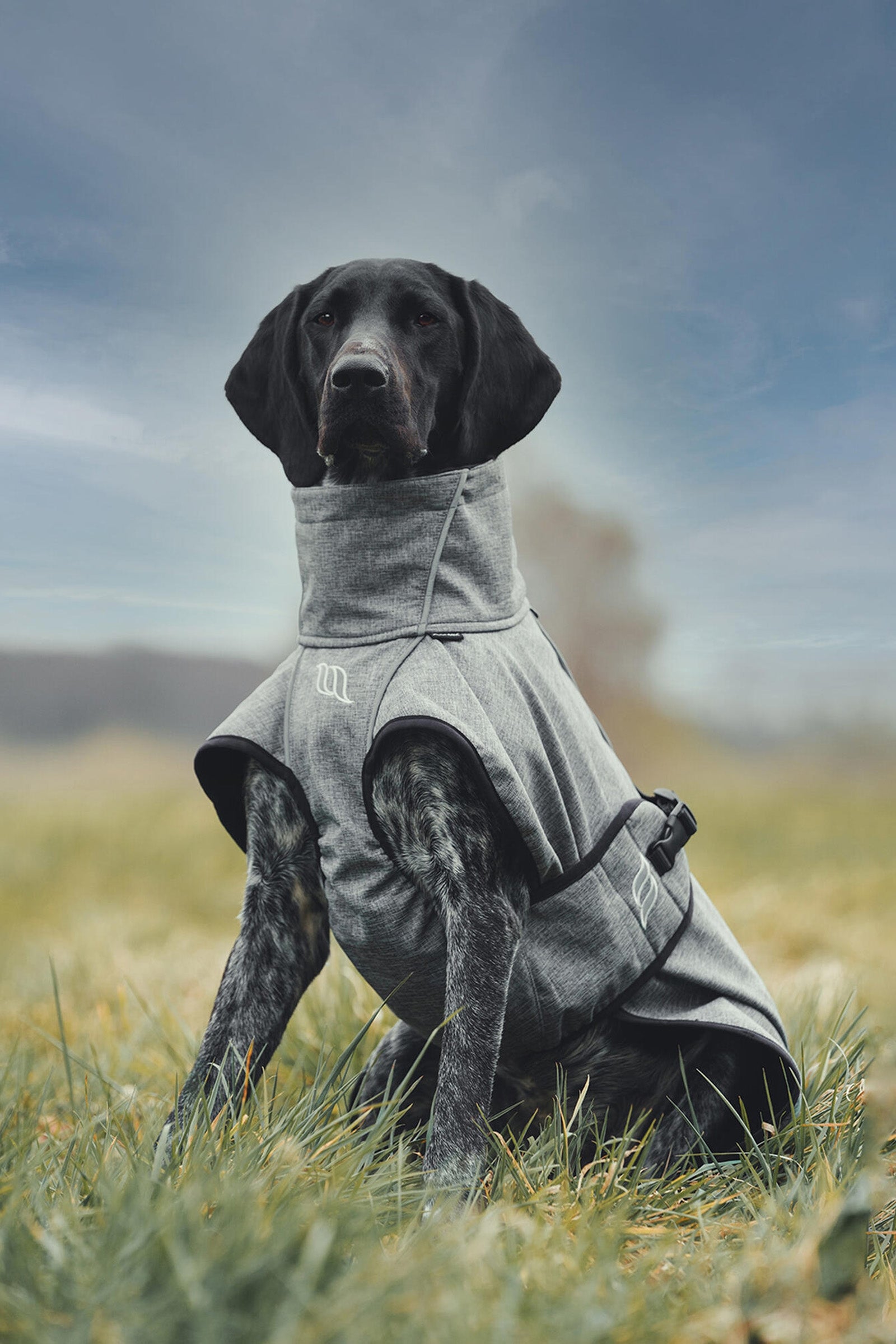 Back on Track Bark All-Round Dog Coat, 70-80cm Dog Accesories