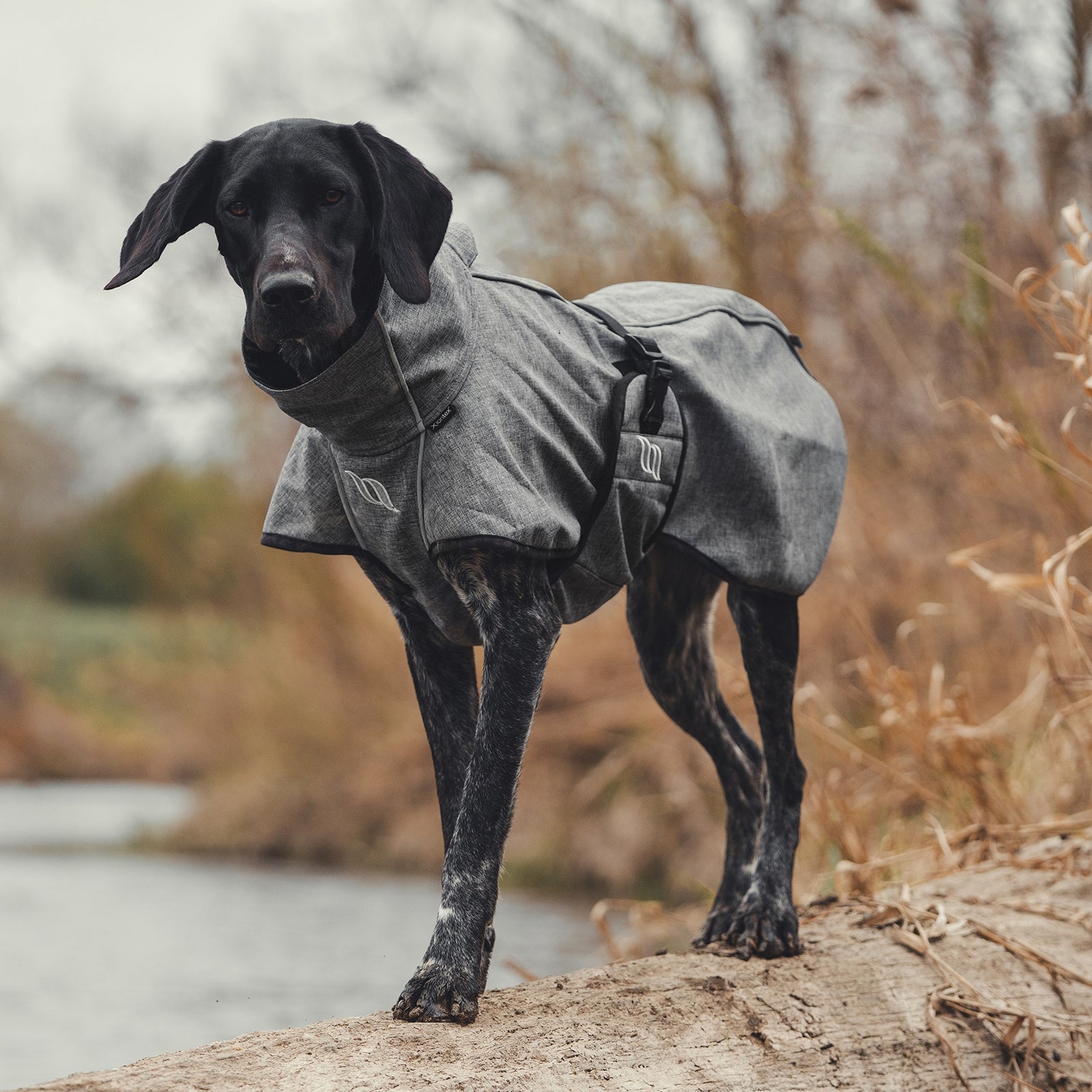 Back on Track Bark All-Round Dog Coat, 70-80cm Dog Accesories