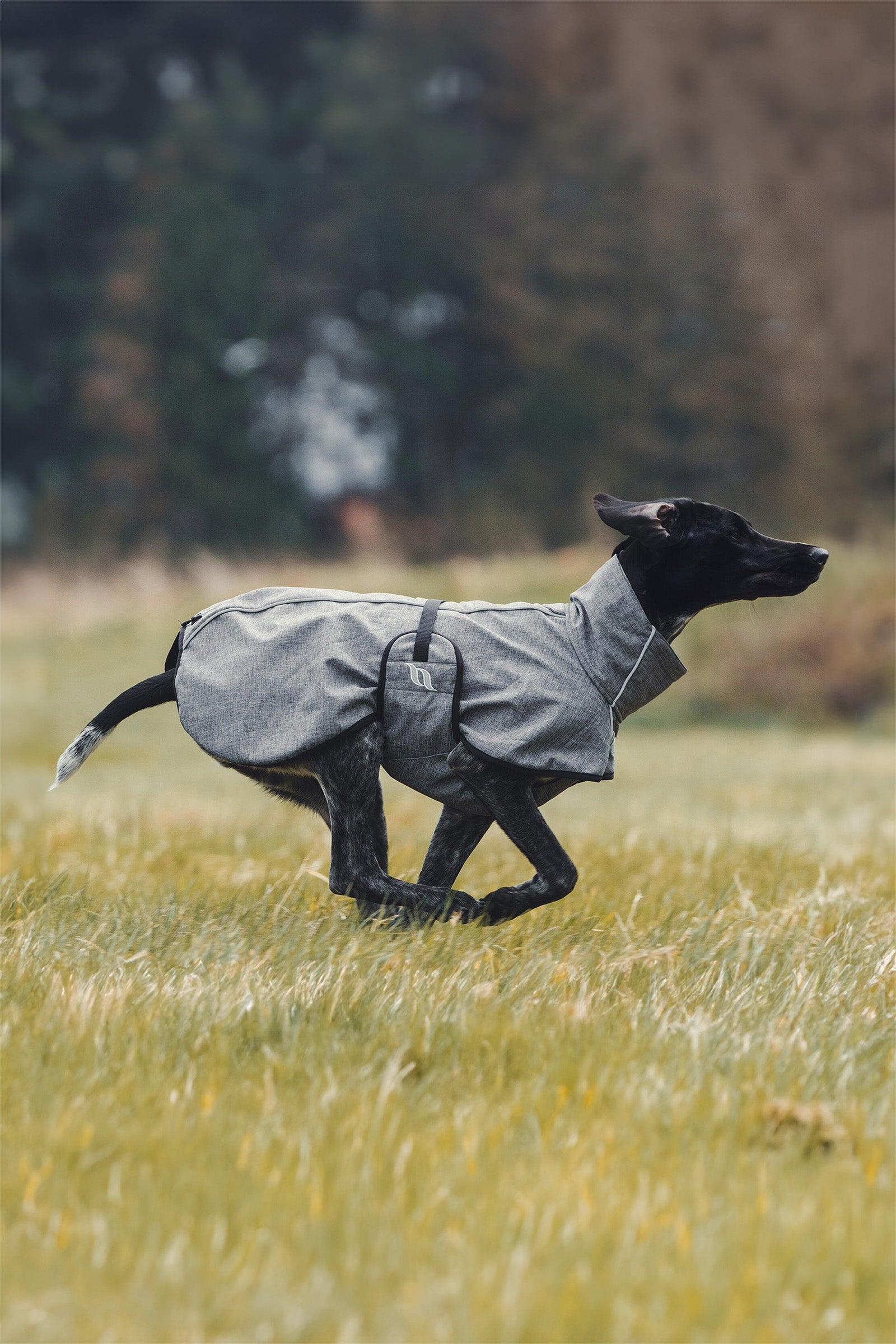 Back on Track Bark All-Round Dog Coat, 85-90cm Dog Accesories