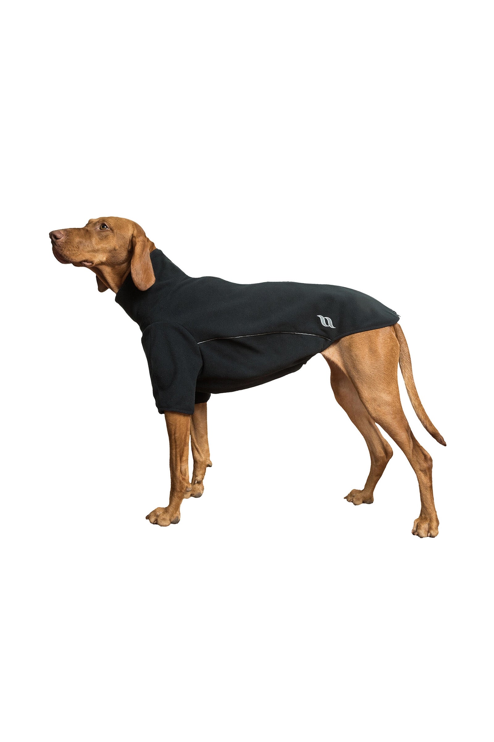 Back on Track Cassie All-Weather Jumper, 25-30cm Dog Accesories