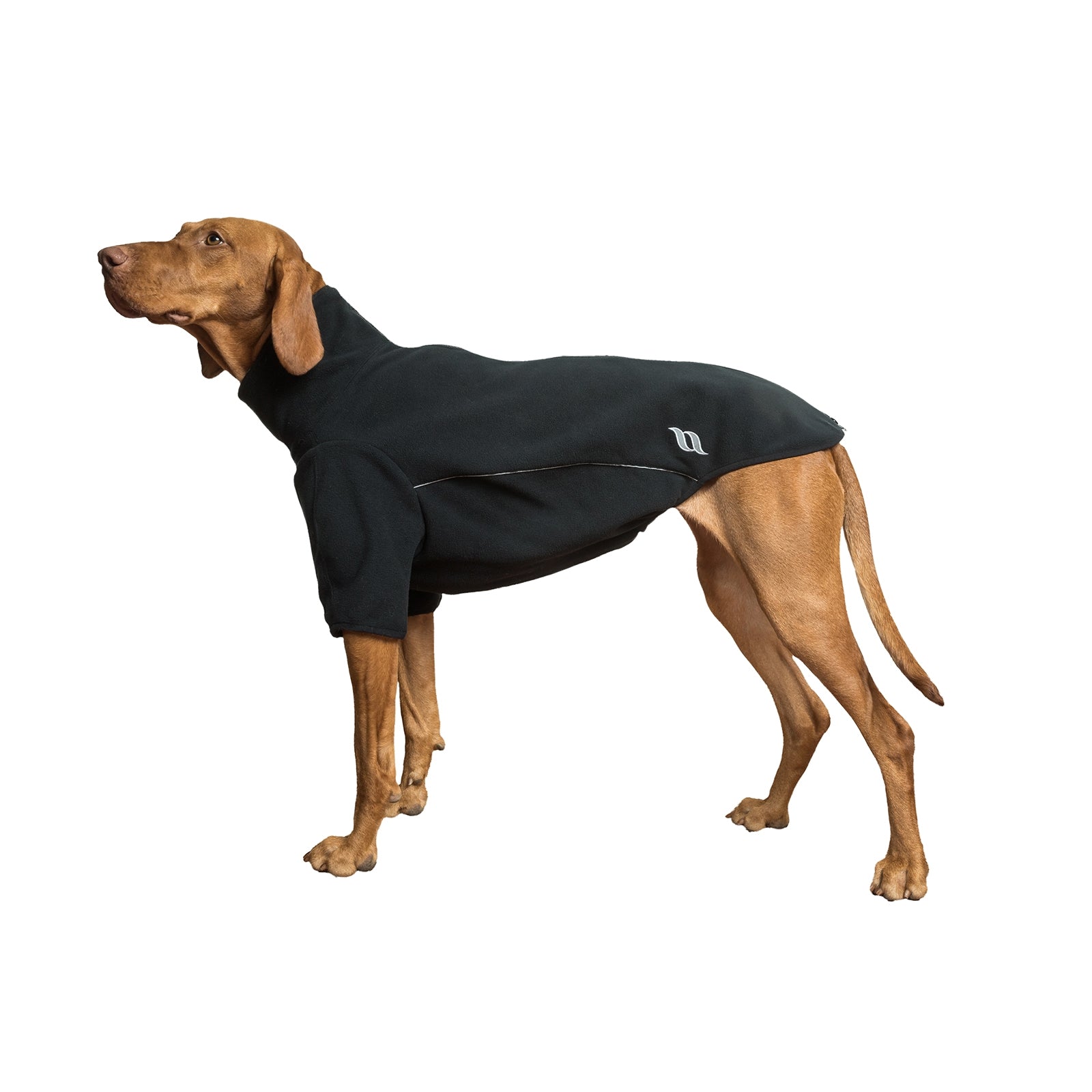 Back on Track Cassie All-Weather Jumper, 25-30cm Dog Accesories