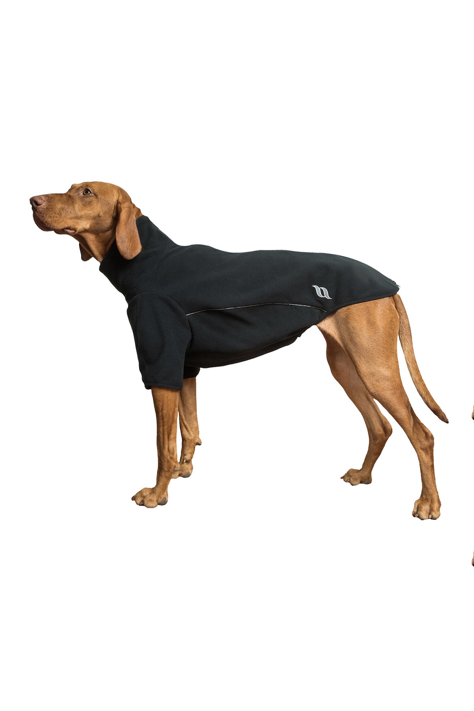 Back on Track Cassie All-Weather Jumper, 55-60cm Dog Accesories