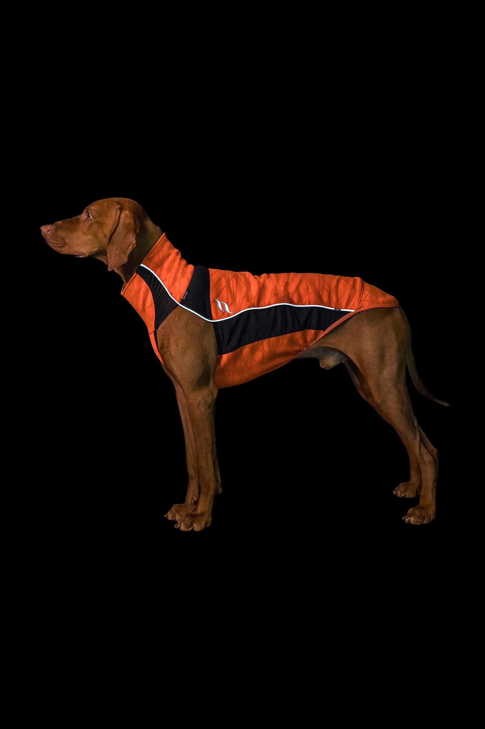 Back on Track Eddie Jumper Hoge Zichtbaarheid, 40-45 cm Hond