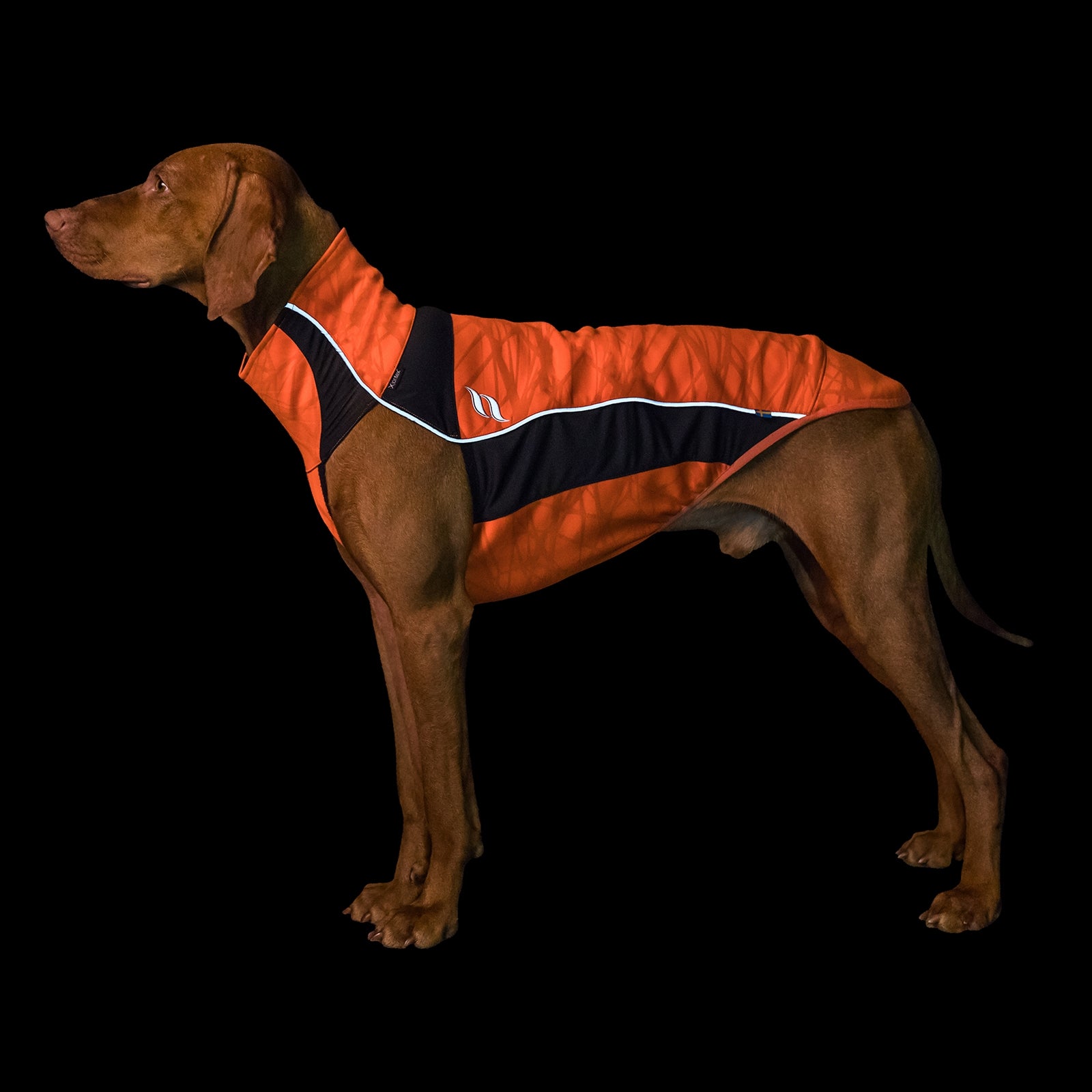 Back on Track Eddie Petite High-Visibility Jumper, 30-35cm Dog Accesories