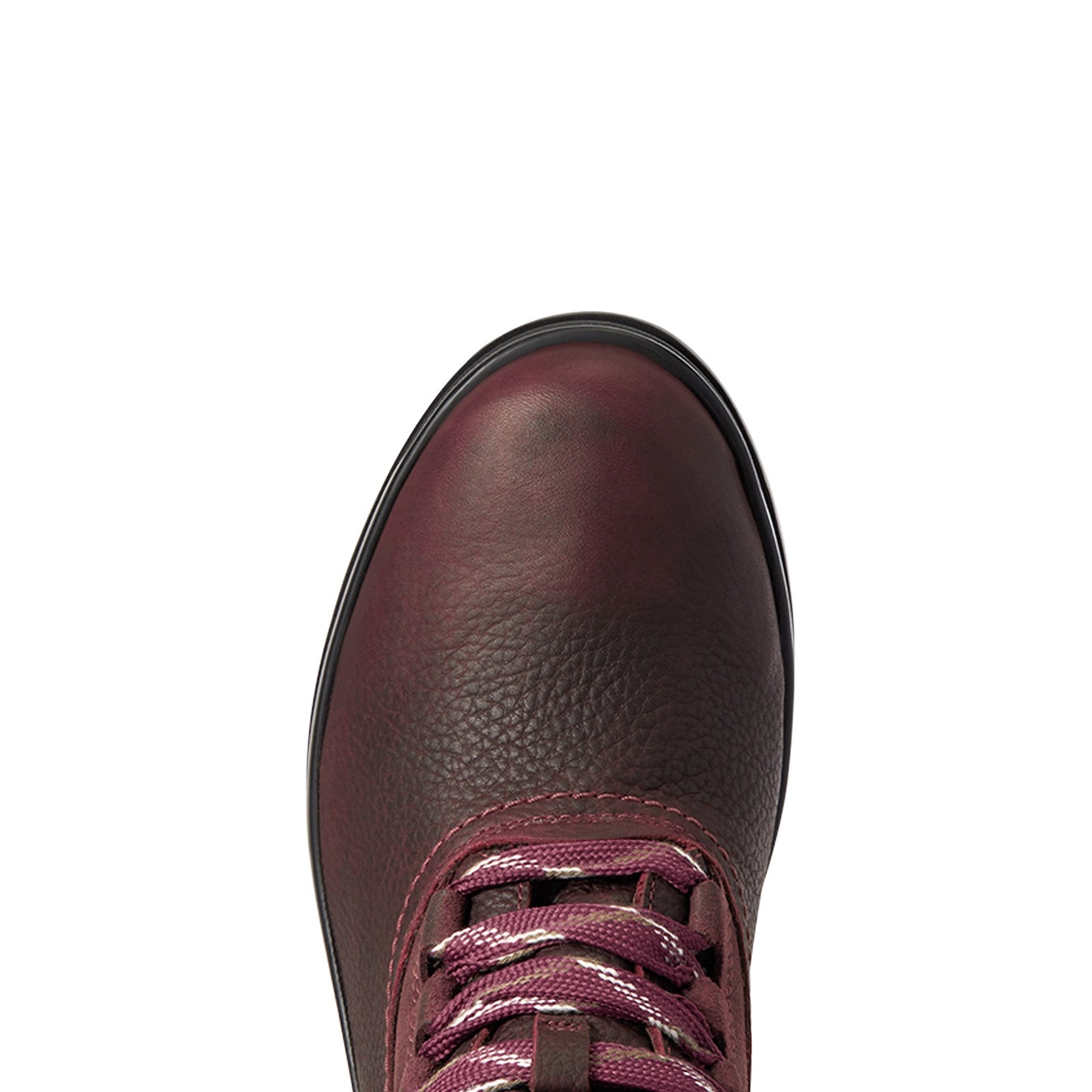 Ariat Harper Women´s Waterproof Half Boots Riding Boots & Riding Shoes