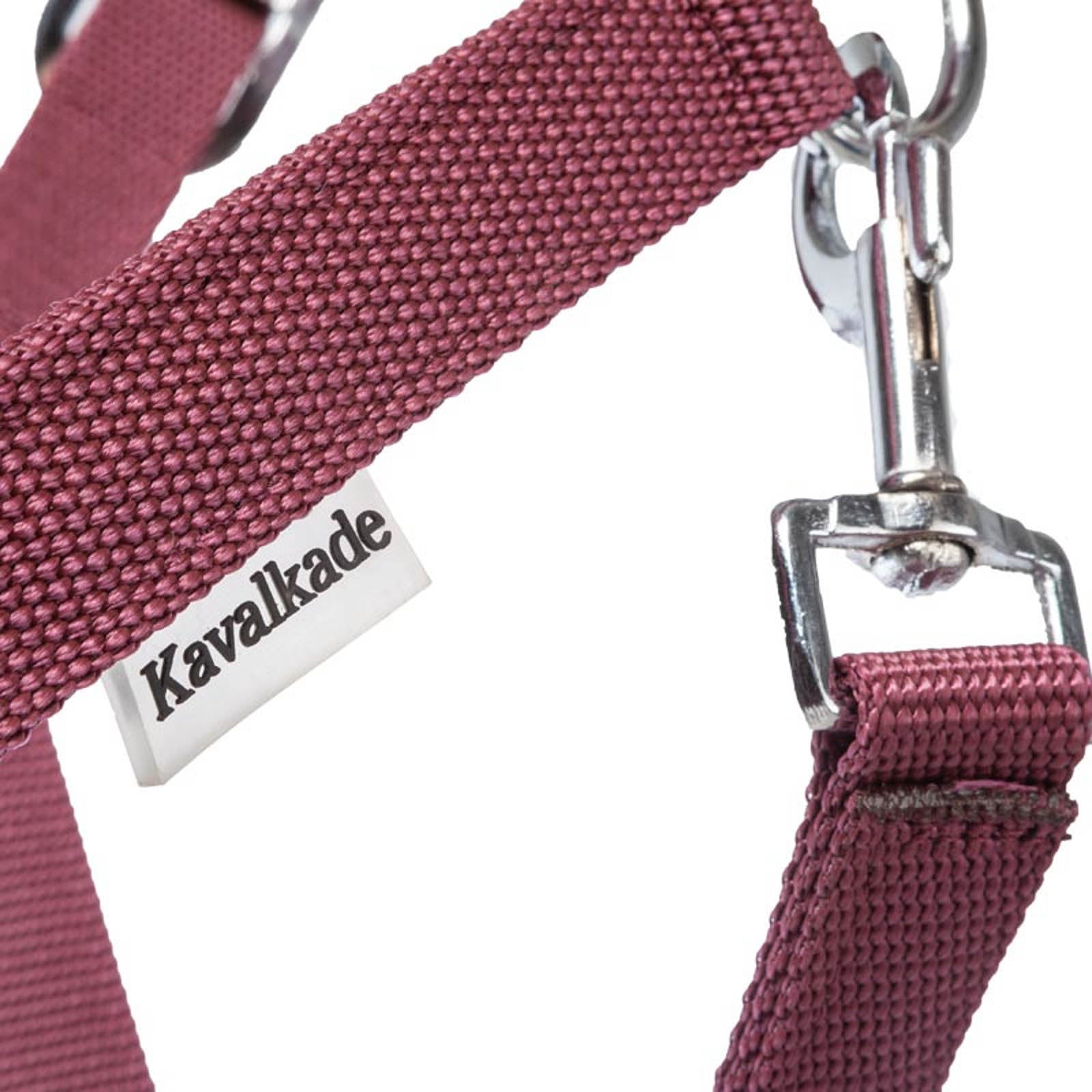 Kavalkade Classic Halter Halters & Leads