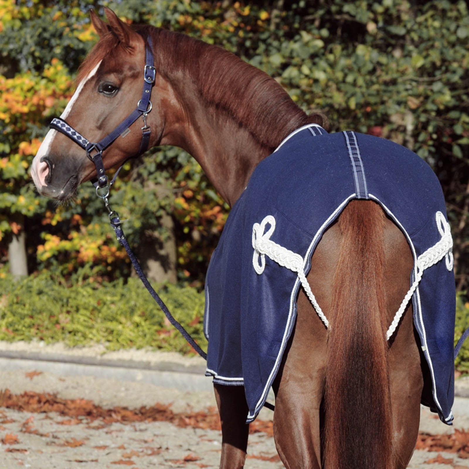 Kavalkade Cooler with Chest Bib Horse Rugs
