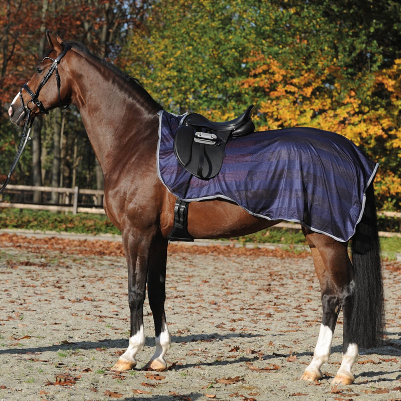 Kavalkade Vliegendeken Paardendekens