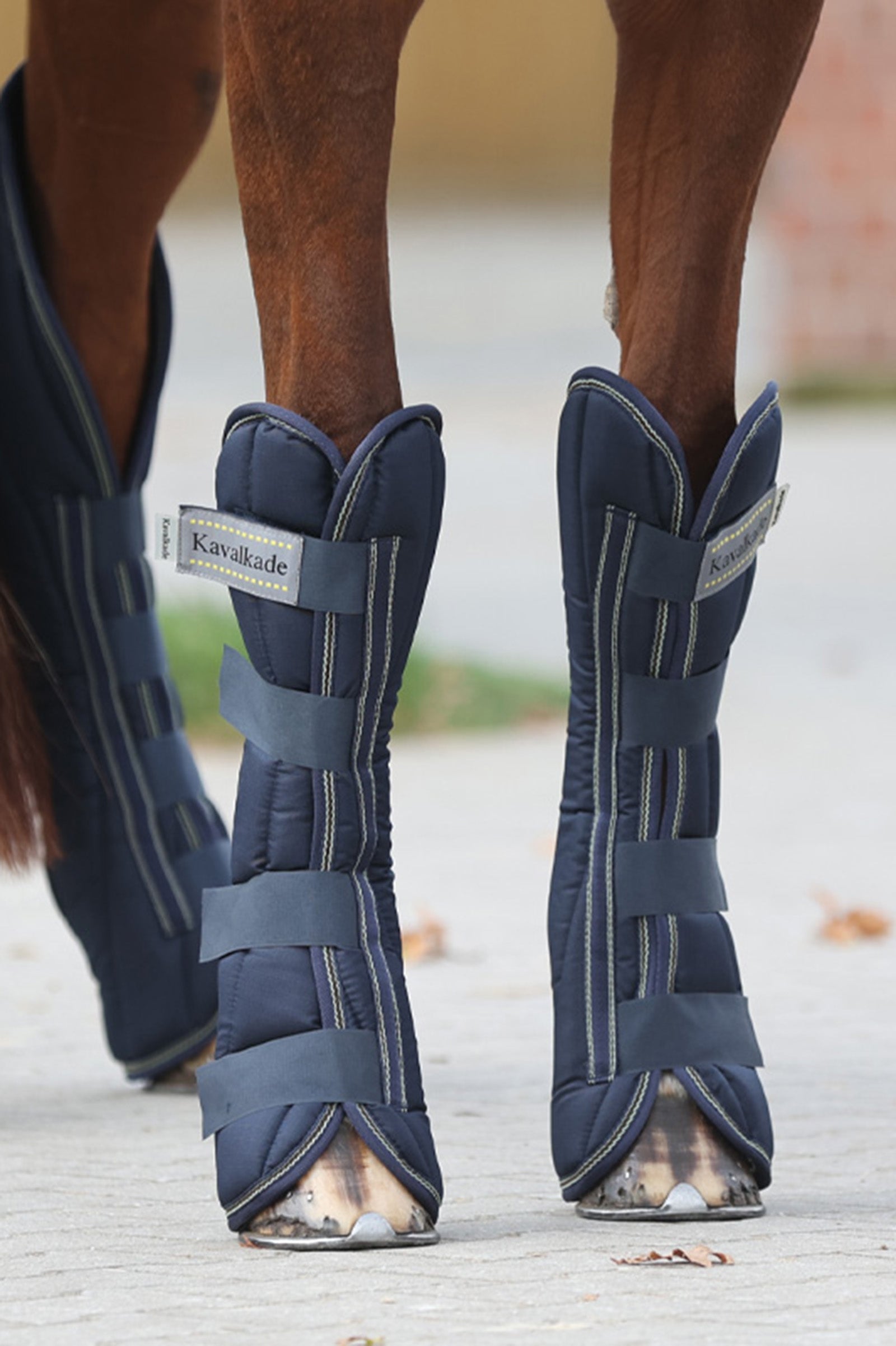 Kavalkade Montreal Travelling Boots (Set of 4) Leg Protection & Hoof Protection for Horses