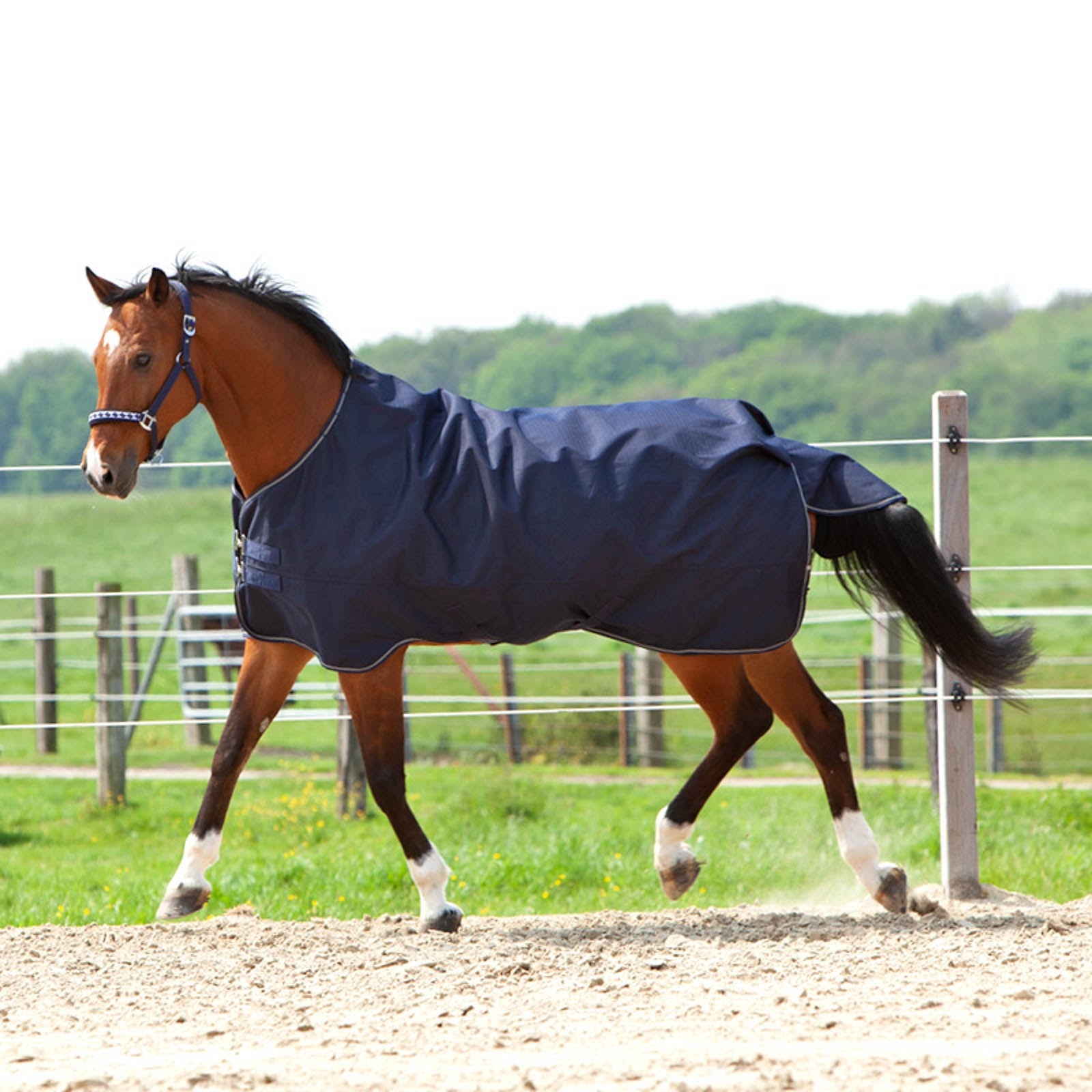Kavalkade Montreal Turnout Rug, 0g Horse Rugs