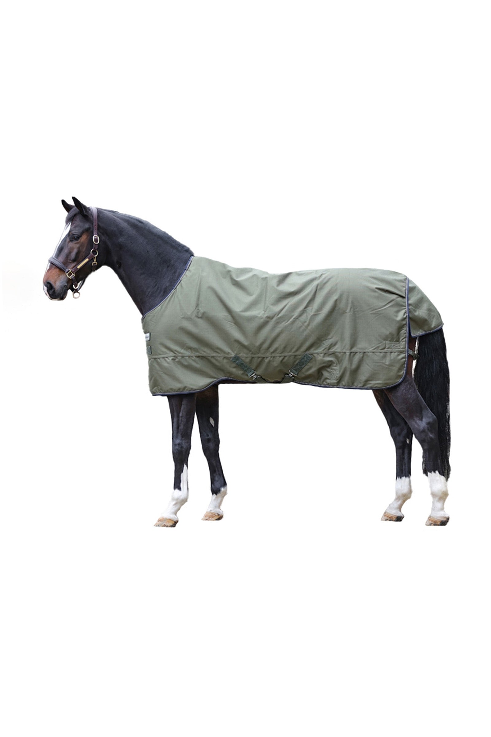 Kavalkade Montreal Regendeken, 0 gram Paardendekens