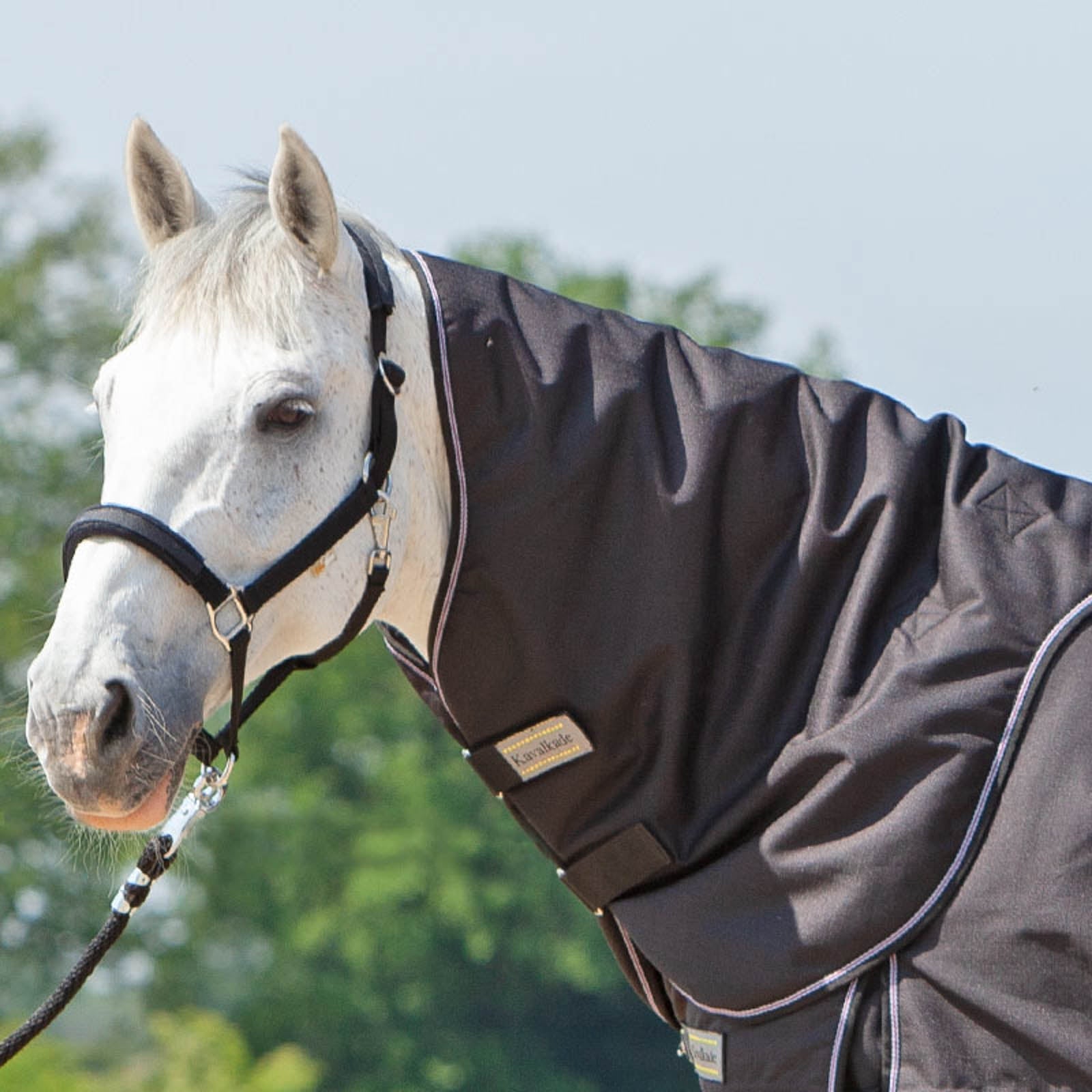 Kavalkade Hals voor Alaska IV, 100 g Paardendekens