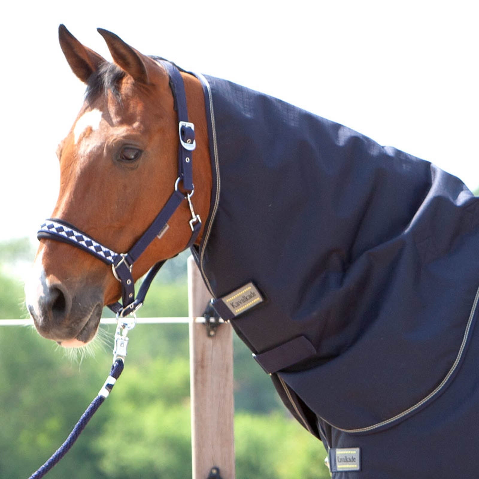 Kavalkade Hals voor Montreal Regendeken, 100 grams Paardendekens