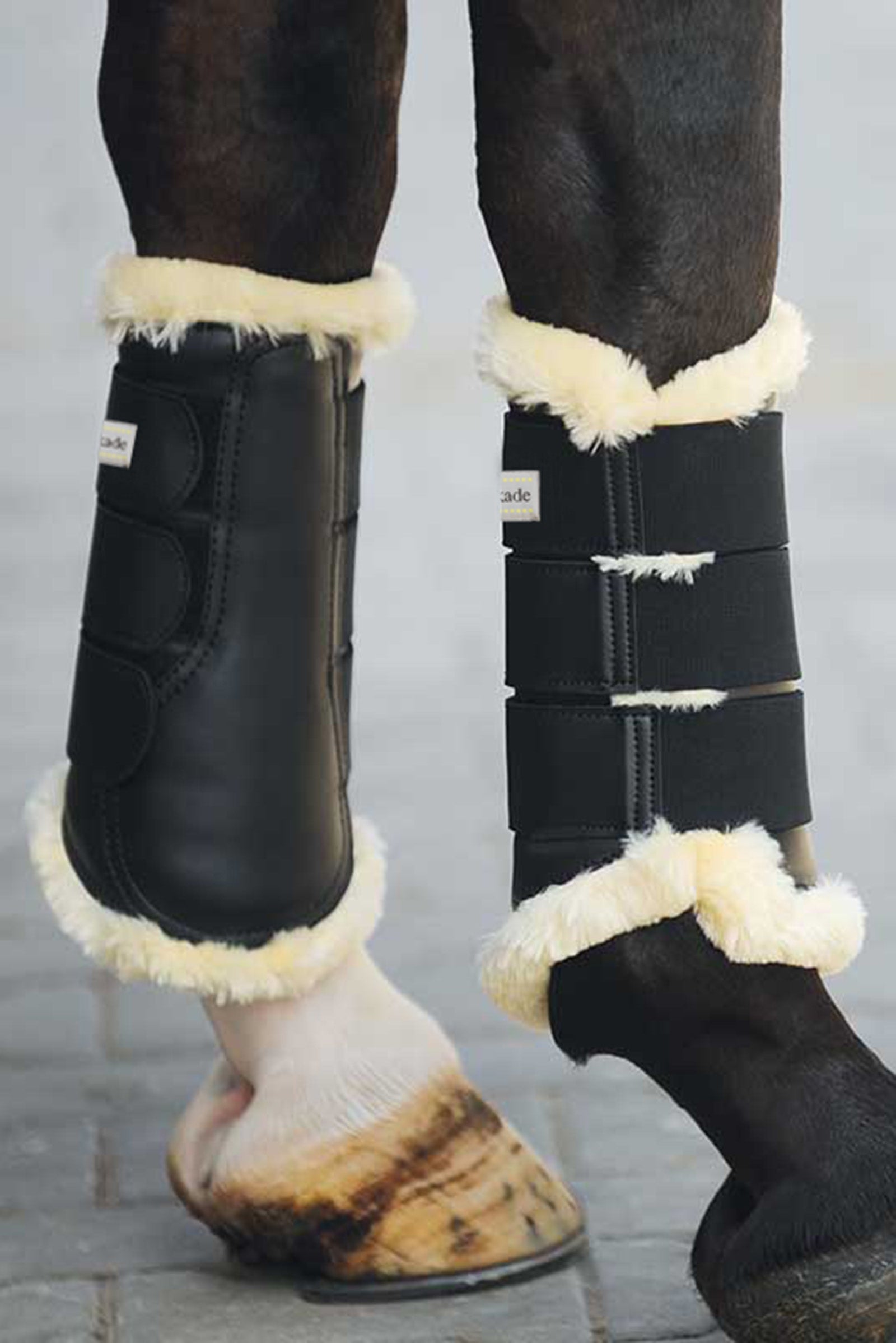 Kavalkade Show Pijpkousen Leg Protection & Hoof Protection for Horses
