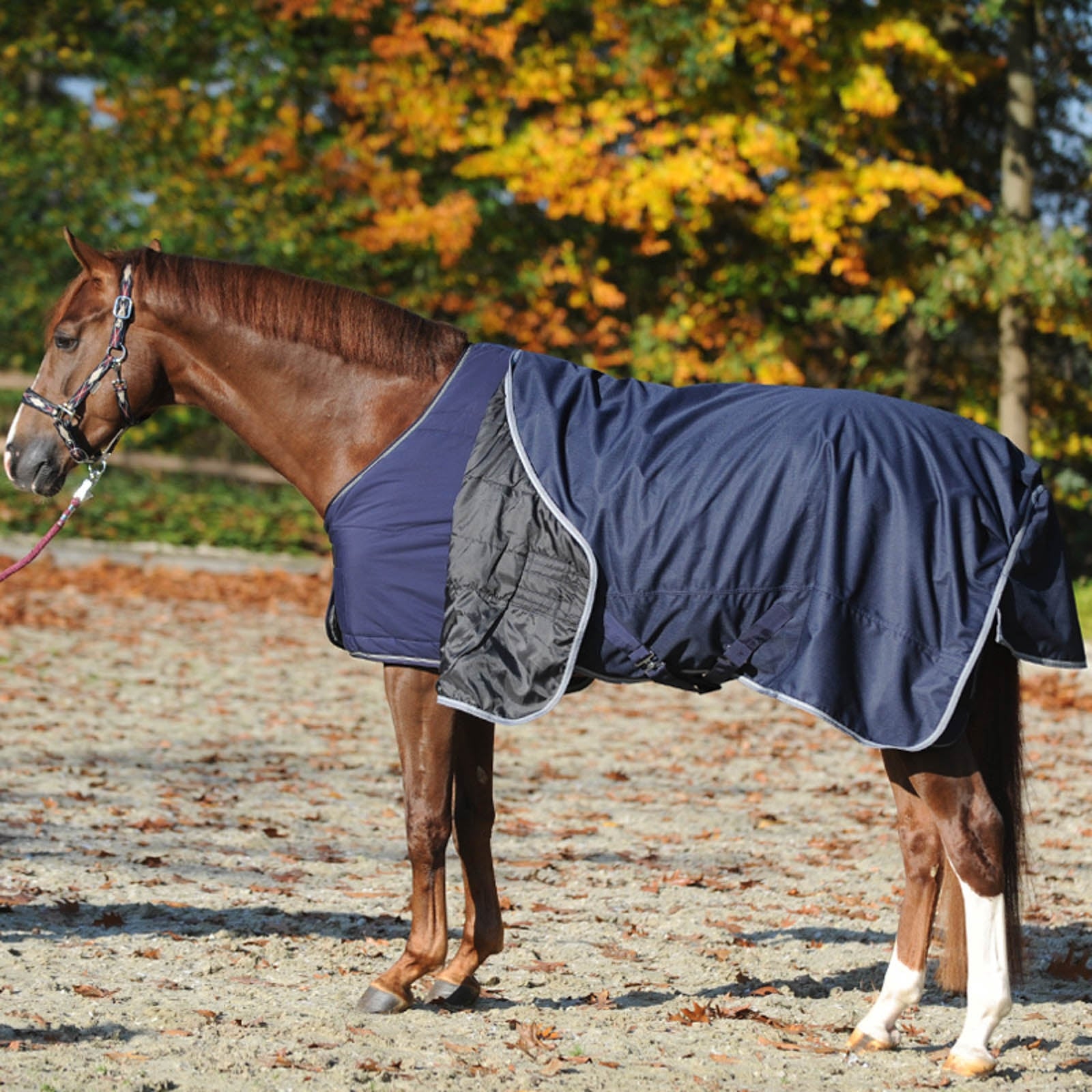 Kavalkade Onderdeken, 50 grams Paardendekens