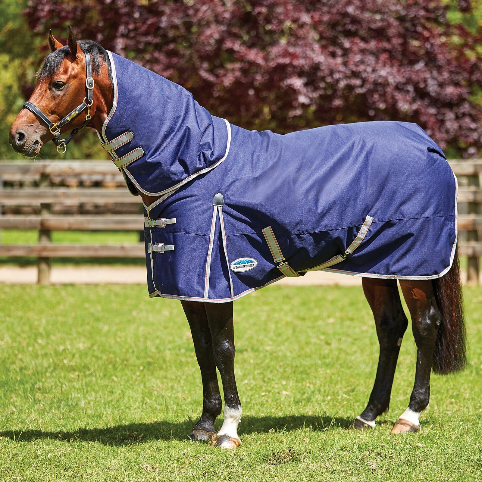 Weatherbeeta Comfitec Essential Detach-a-Neck, 50g Horse Rugs