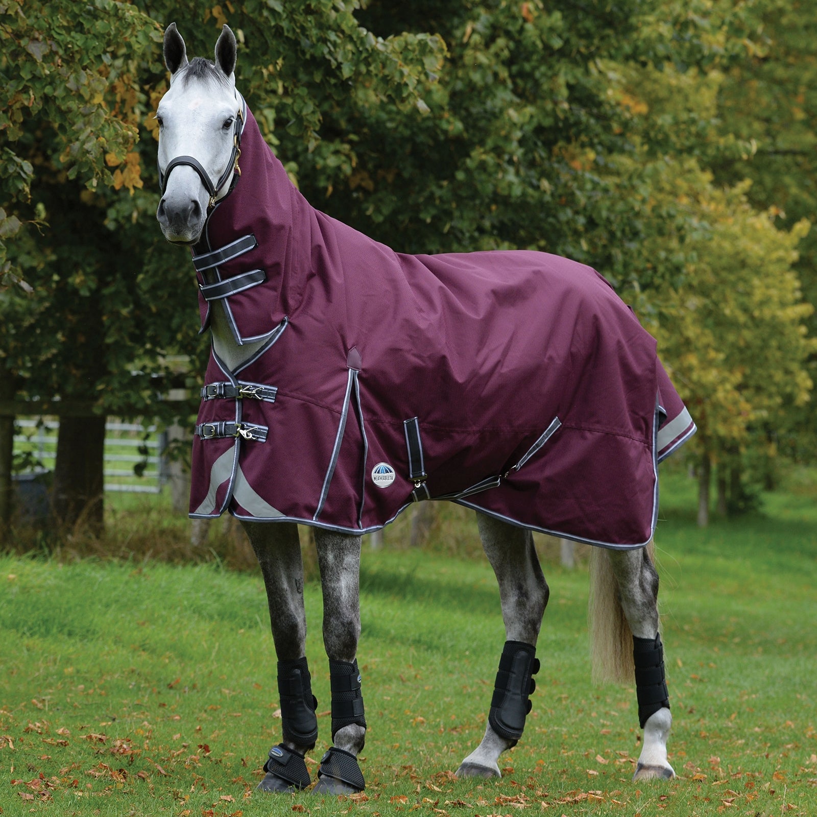Weatherbeeta Comfitec Plus Dynamic II Combo Neck Turnout Rug, 0g Horse Rugs