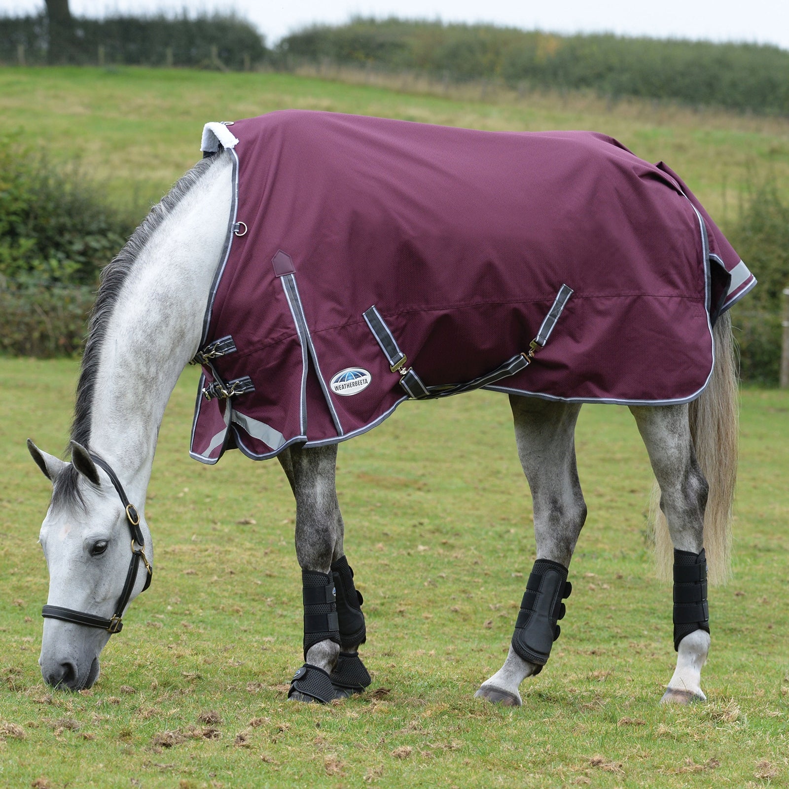Weatherbeeta Comfitec Plus Dynamic II Regendeken, 100 grams Paardendekens