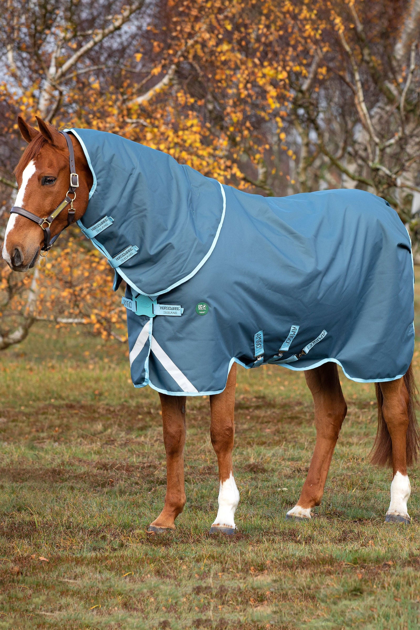 Horseware Amigo AmEco 12 Plus Incl. Afneembare hals, 250 grams Paardendekens