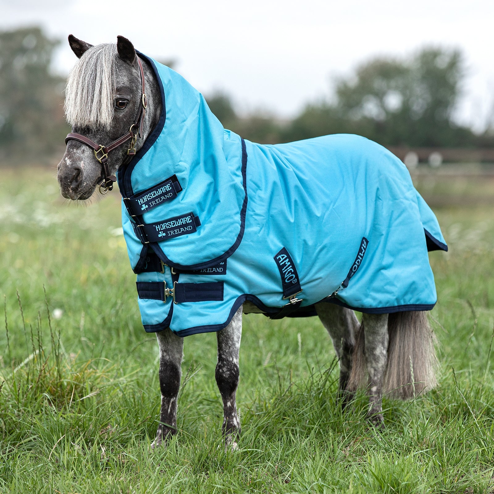 Horseware Amigo Hero 6 Petite Plus Regendeken, 0 grams, met afneembare hals Paardendekens