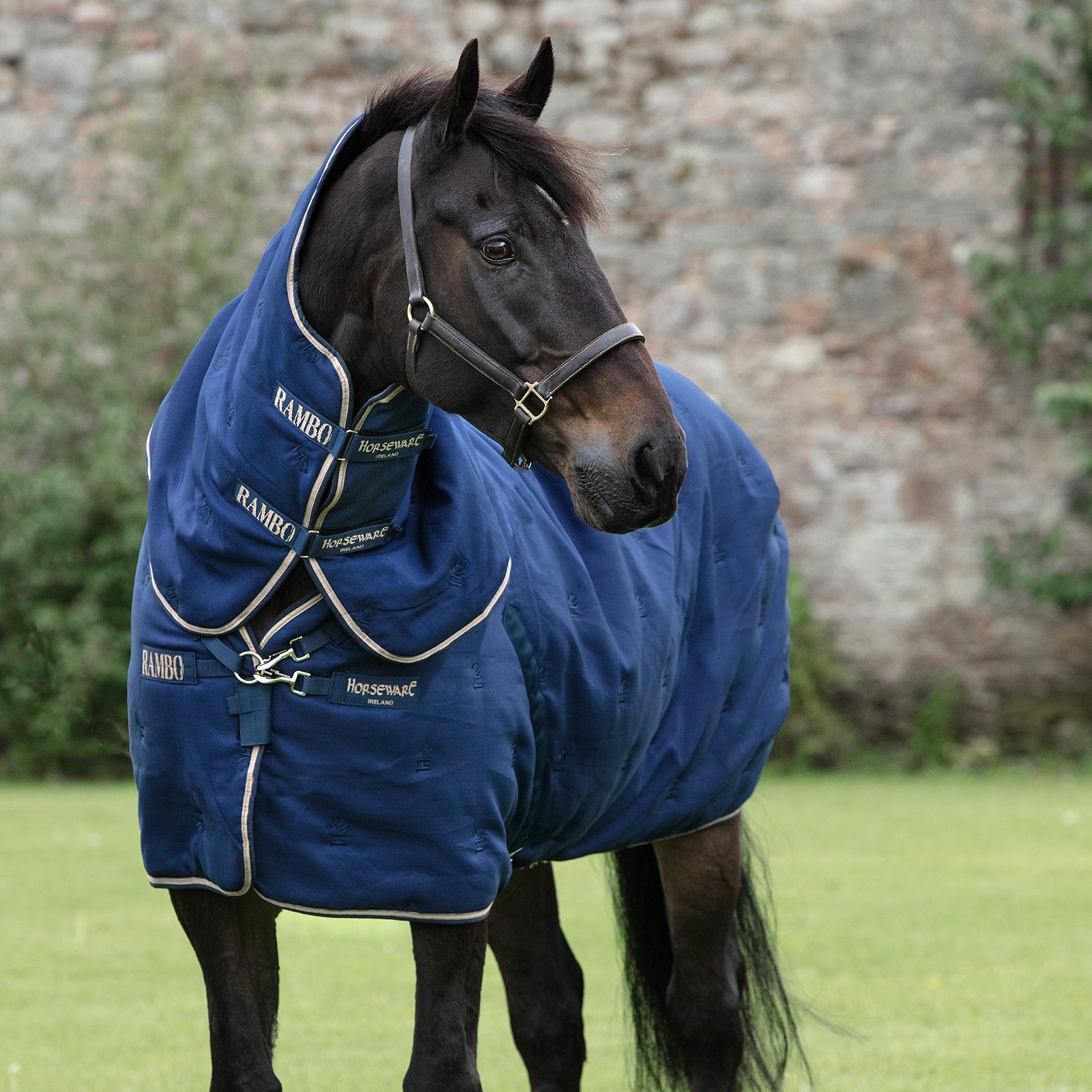 Horseware Rambo Deluxe Stable Plus incl Afneembare Hals, 200 grams Paardendekens