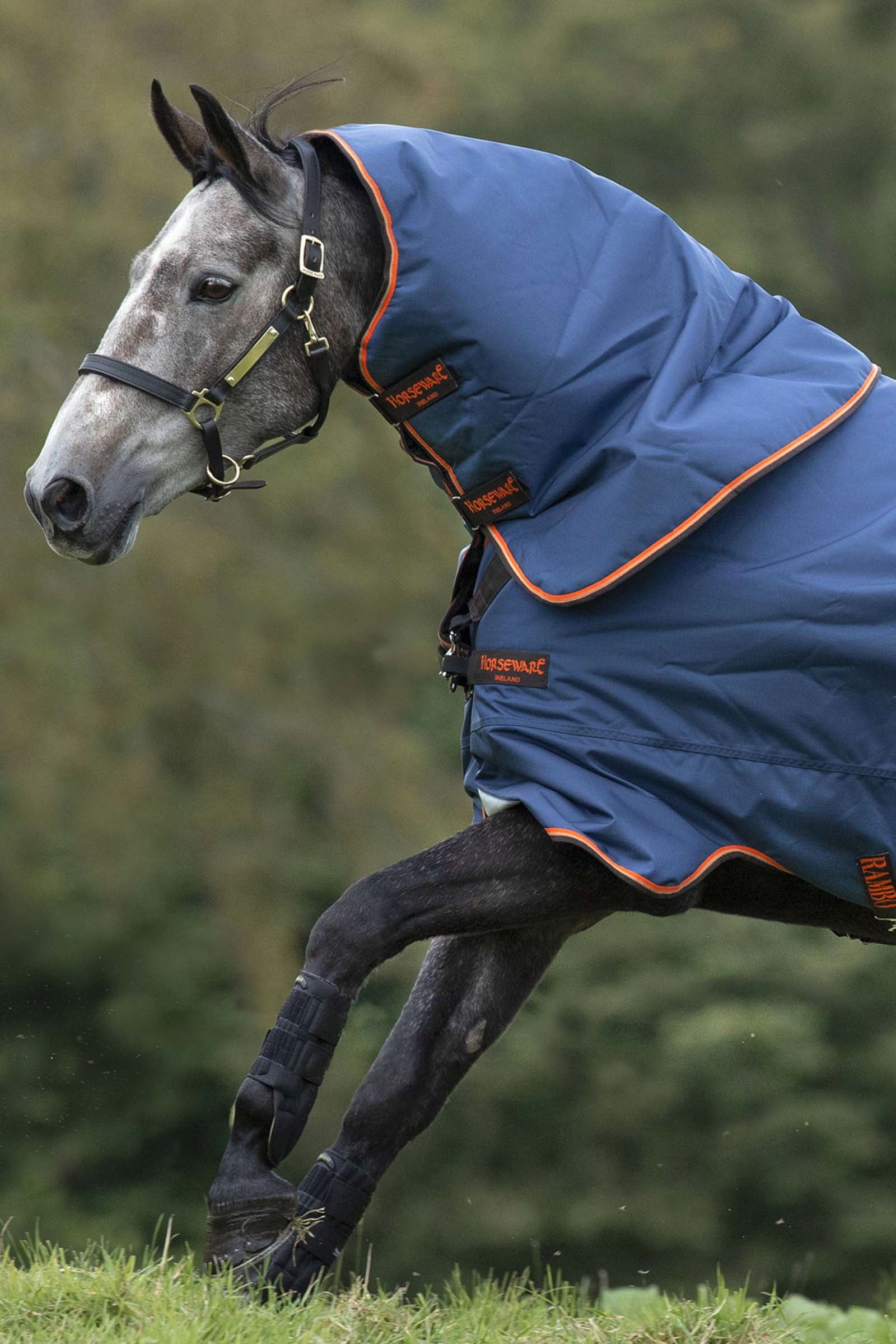 Horseware Rambo Duo Hood, 50g Paardendekens