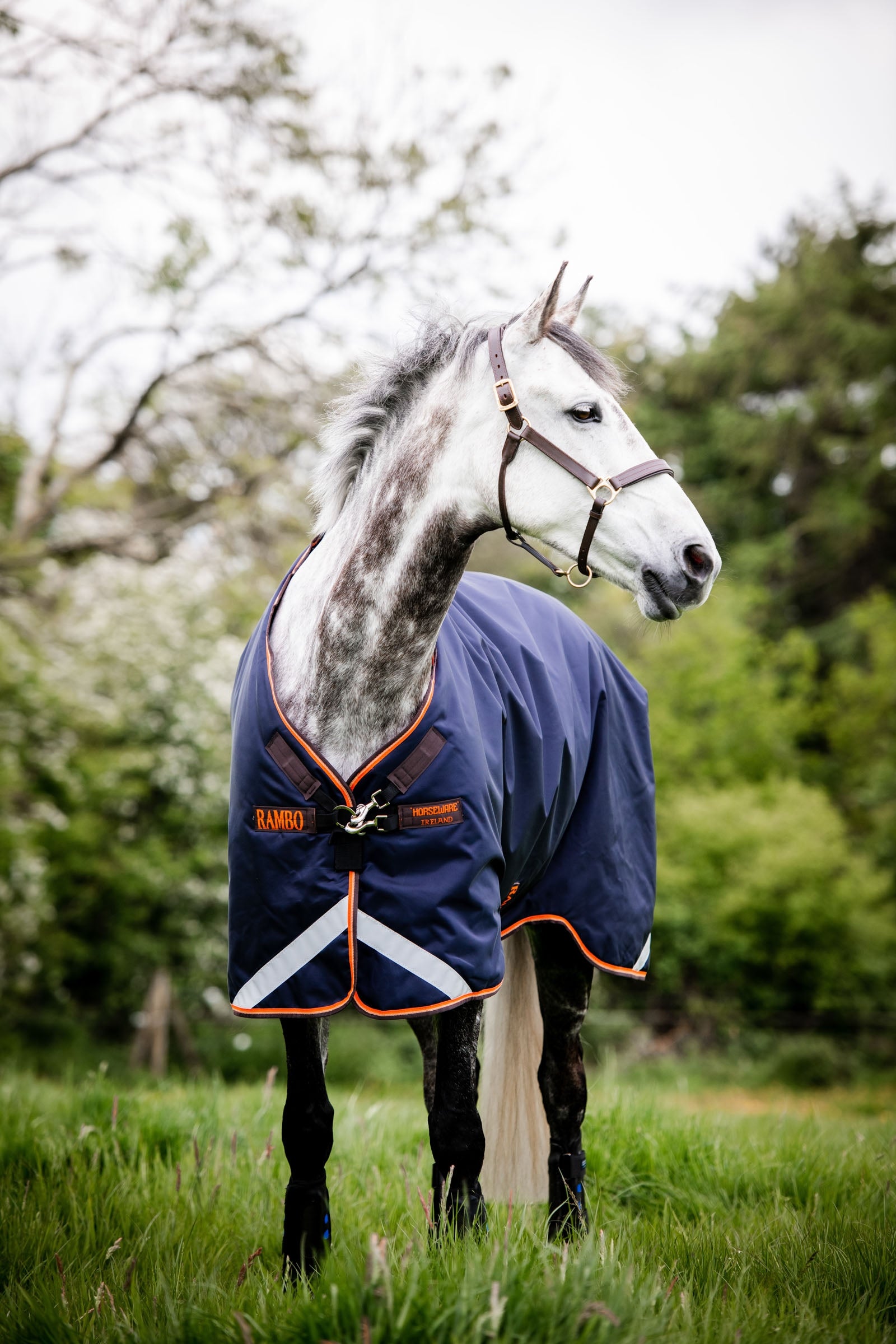 Horseware Rambo Original Regendeken met beenuitsparingen, 100 grams Paardendekens