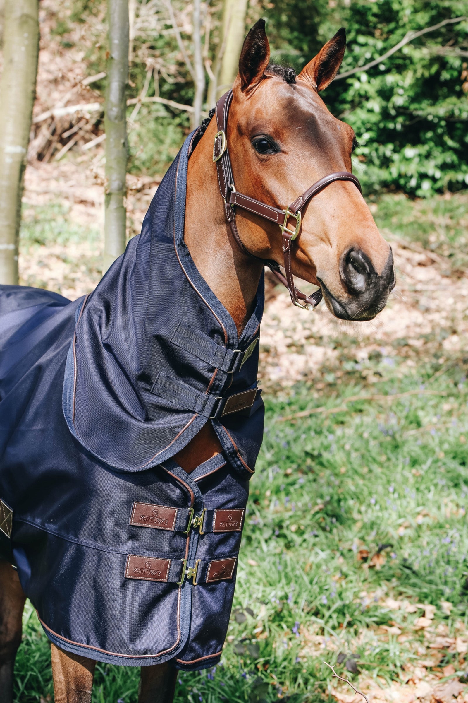 Kentucky Horsewear Halsdeel All Weather, 0g Paardendekens