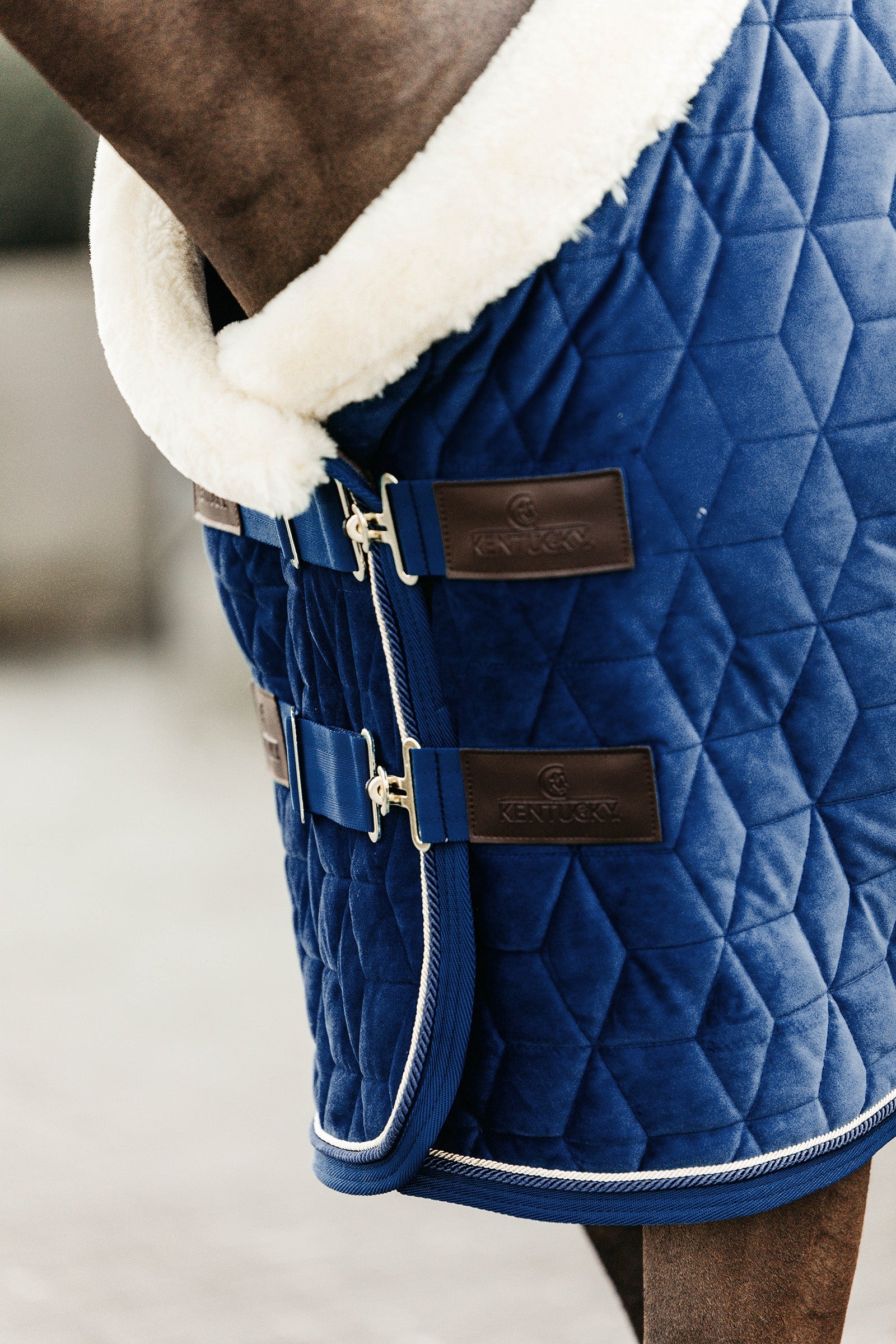 Kentucky Horsewear Velvet Pony Show Rug, 160g Horse Rugs